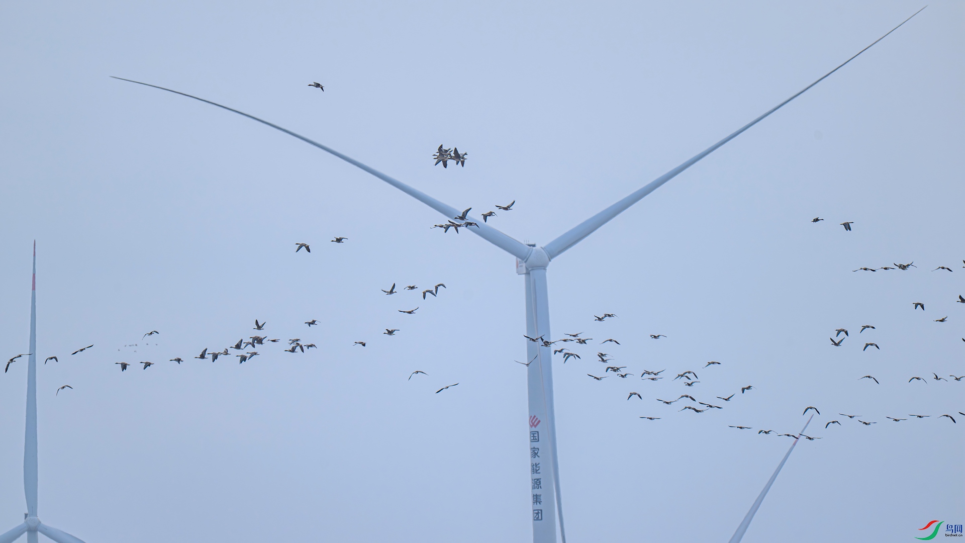 DSC_5604 ����_����.jpg