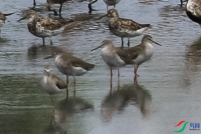 IMG_1517�²���������������� �� ����1.jpg