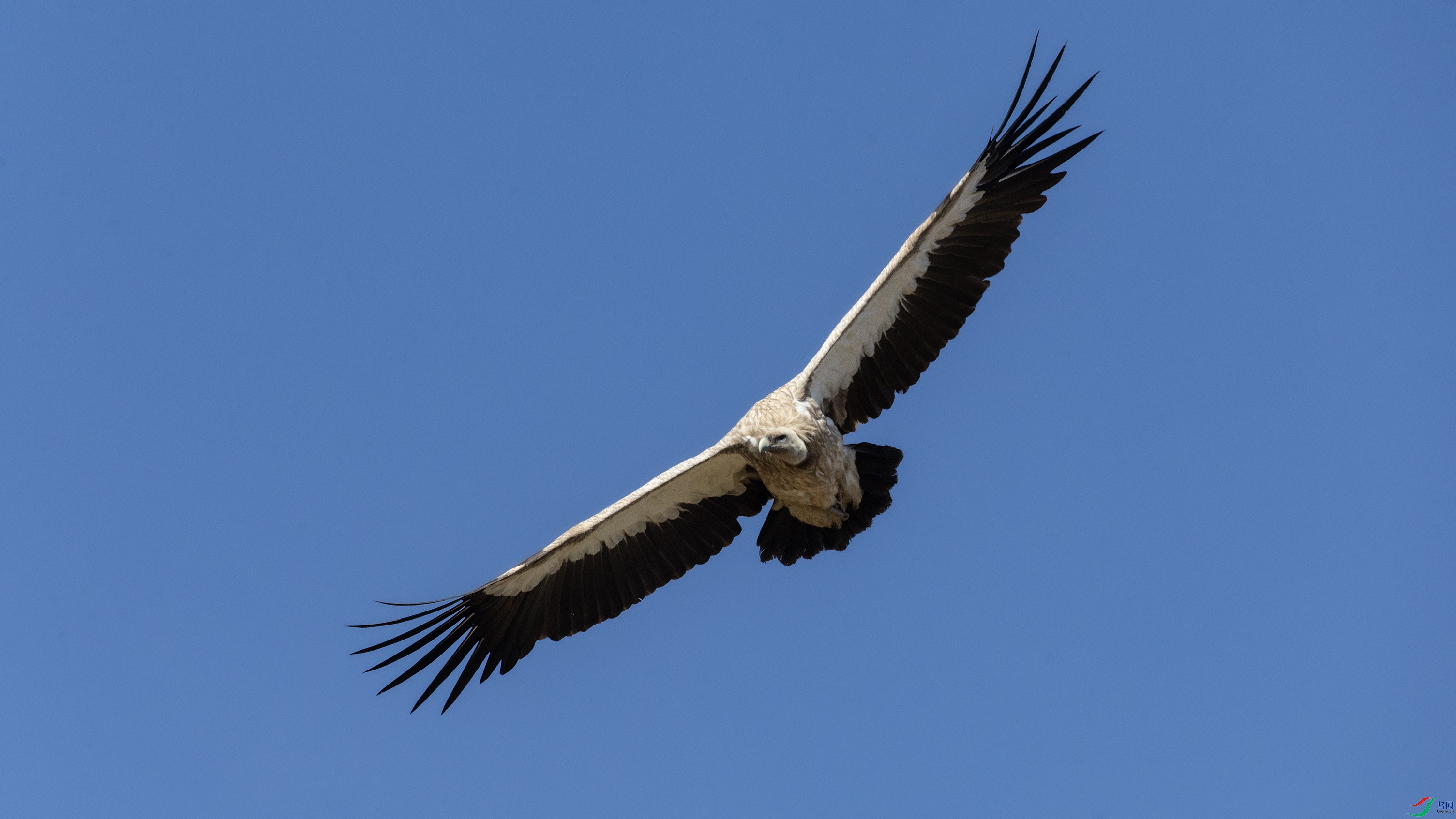 _O7A3004 ����4444.jpg