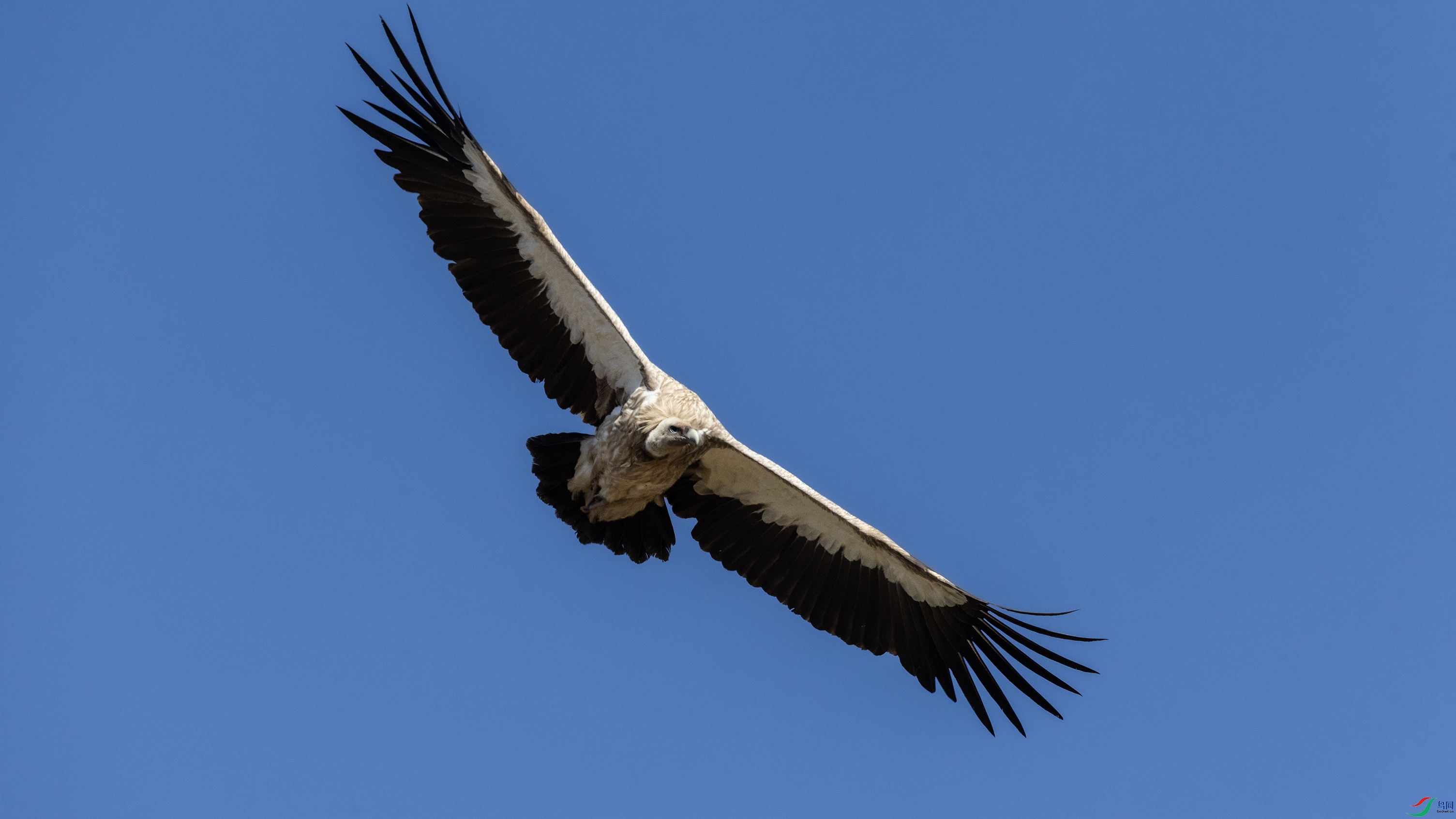 _O7A3006 ����4444.jpg