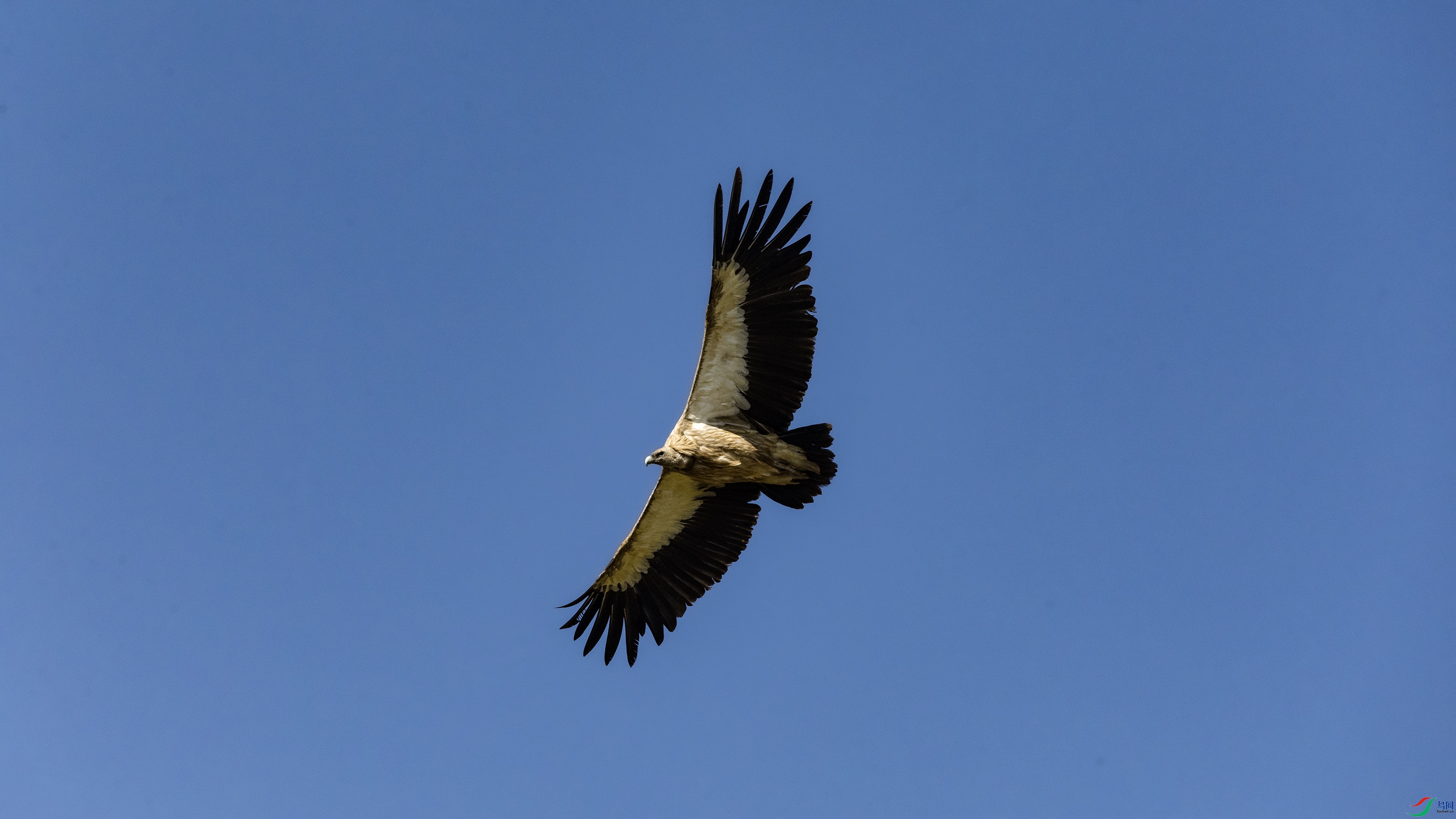 _O7A3041 ����444.jpg