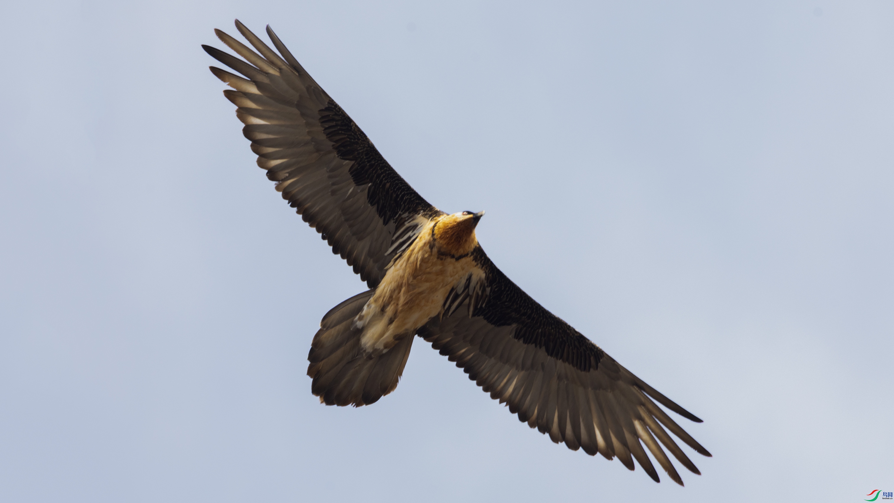 _O7A4515 ����444.jpg