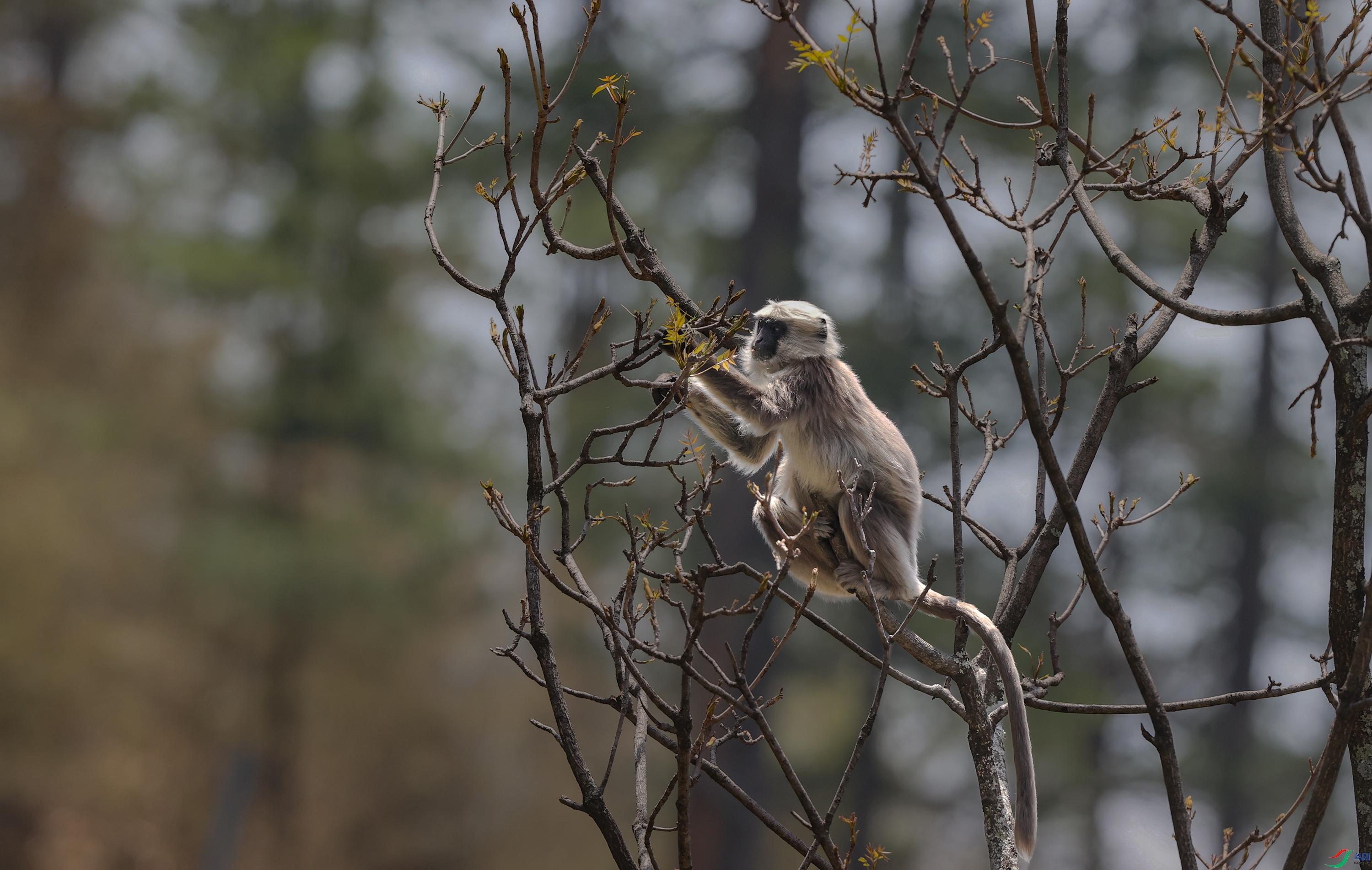 A15I0983 ����.jpg