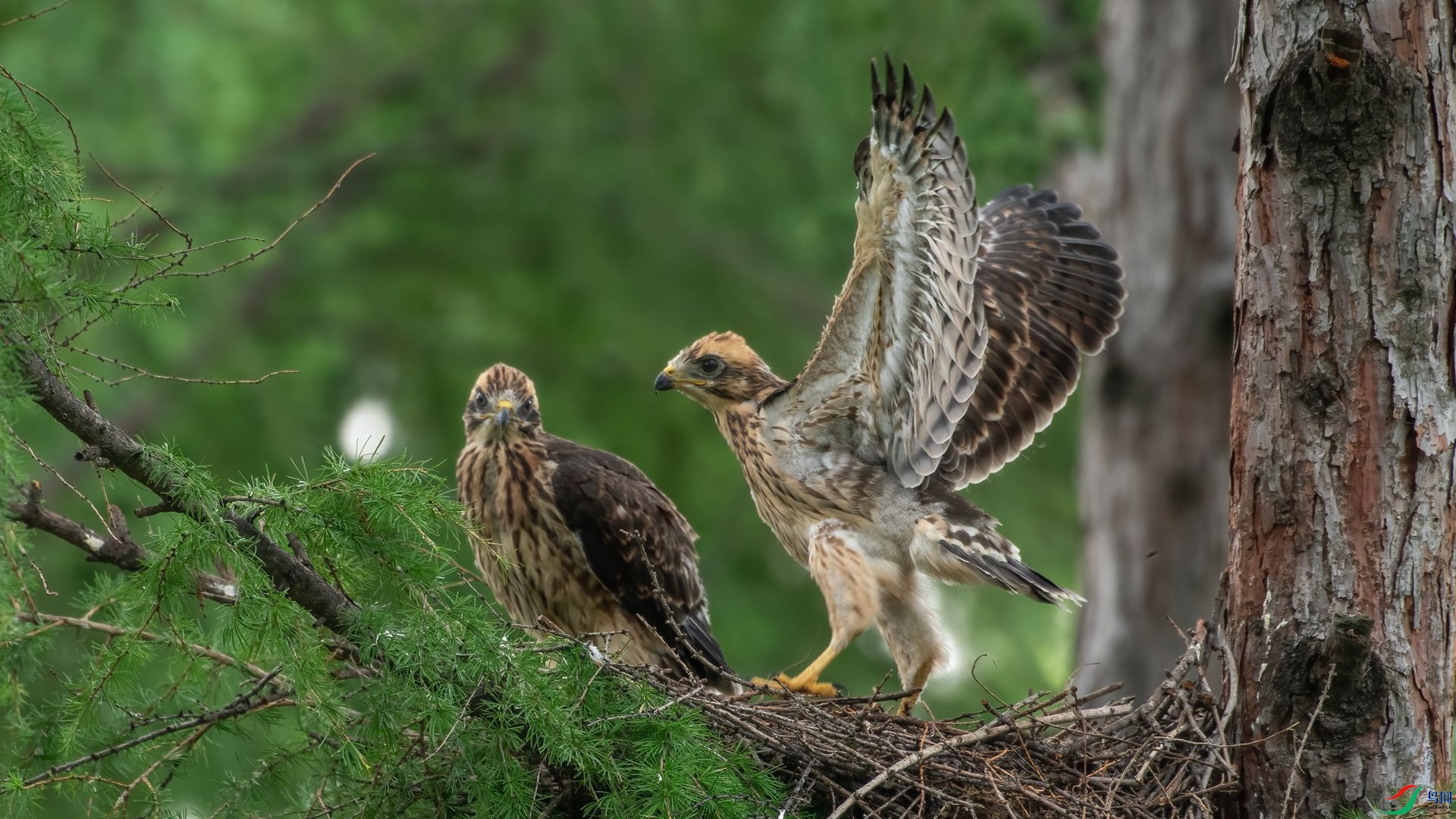 ����10_DSC1889 ����.jpg