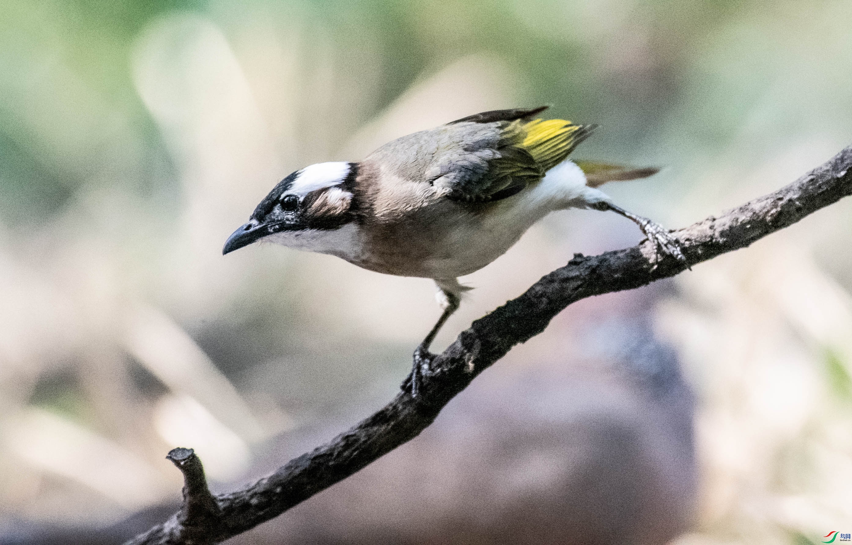 DSC_3113.jpg