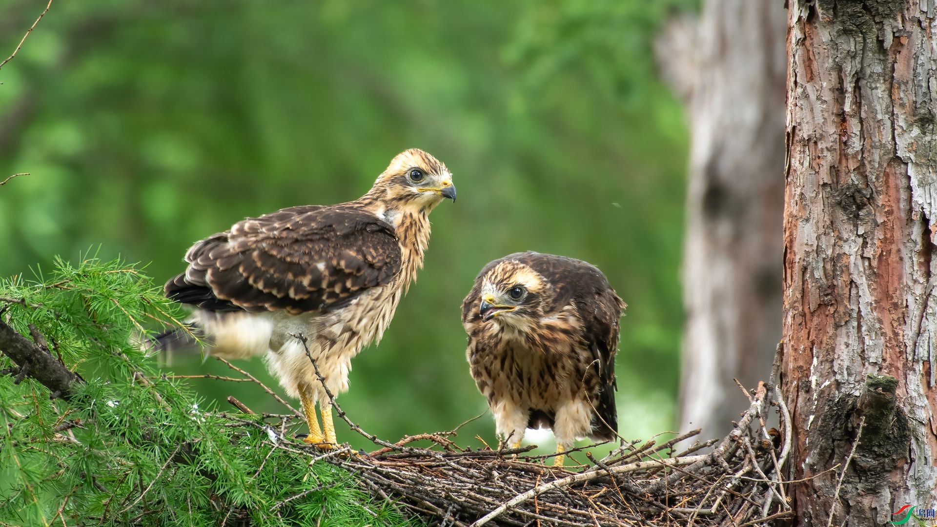 ����4_DSC0359 ����.jpg