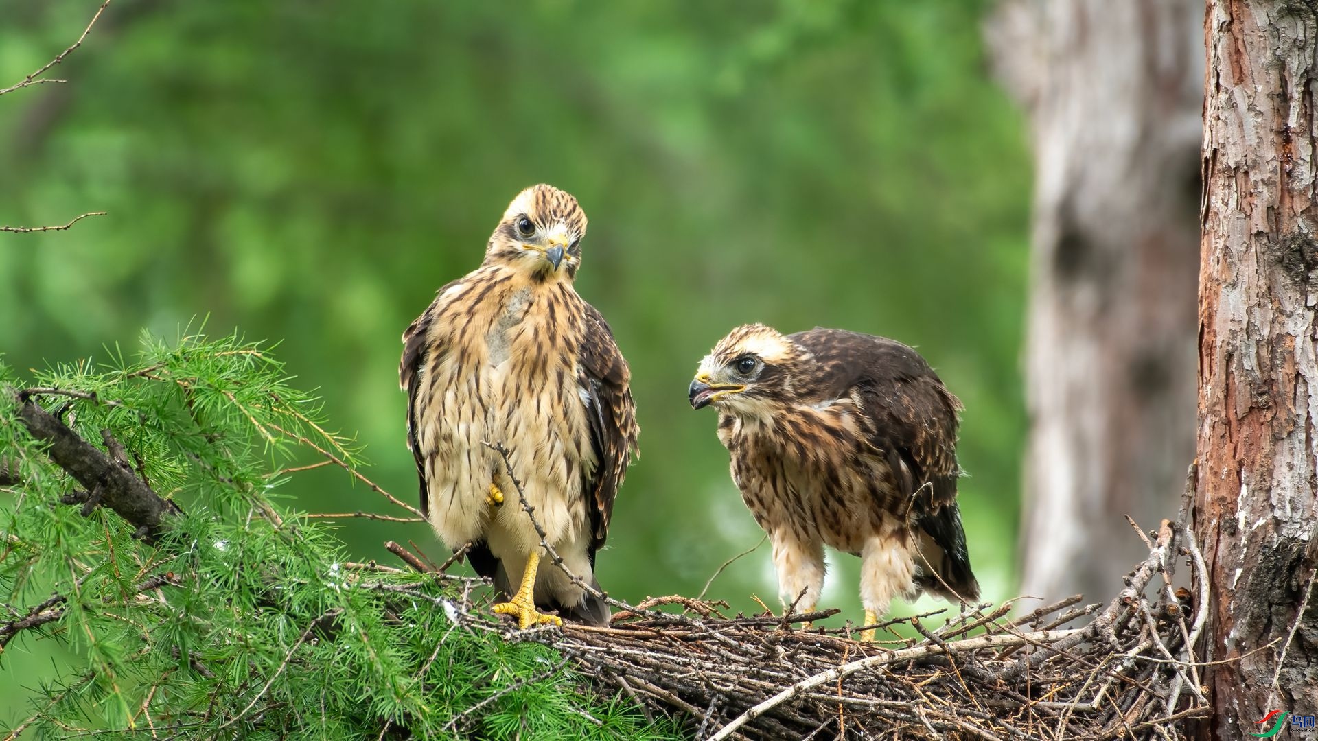 ����3_DSC0282 ����.jpg