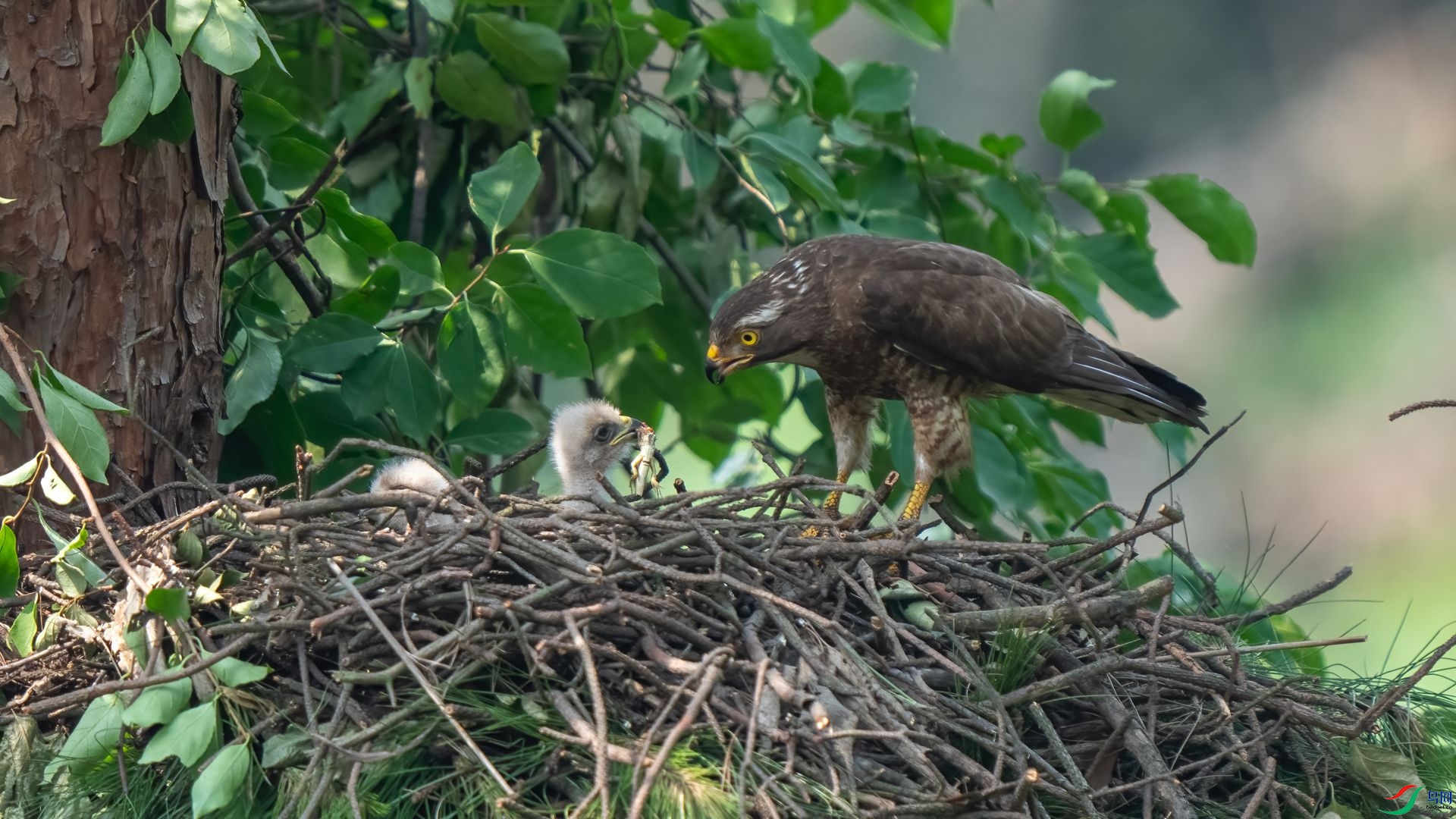 DSC04823 ����.jpg