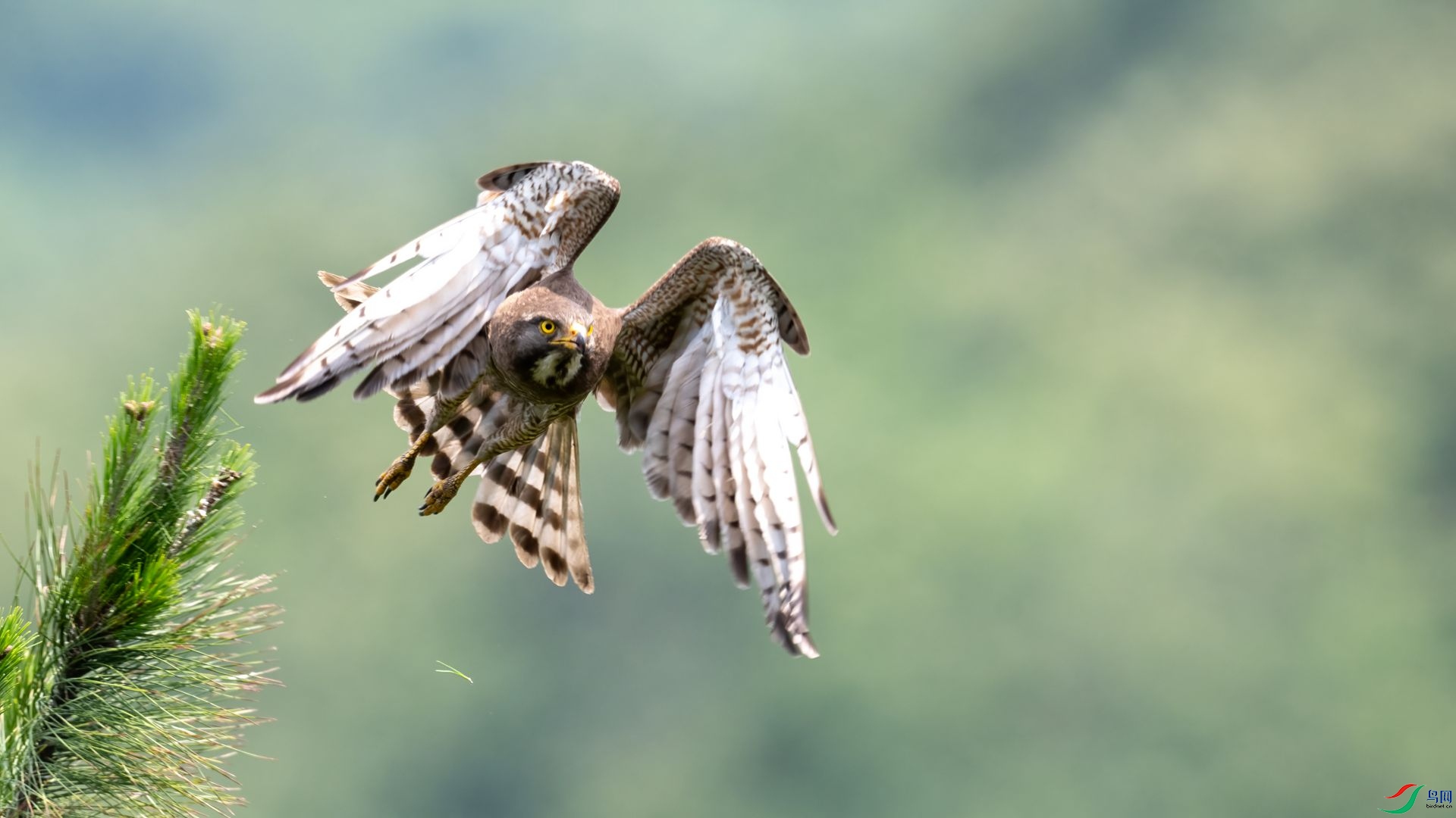 _DSC2685 ����.jpg