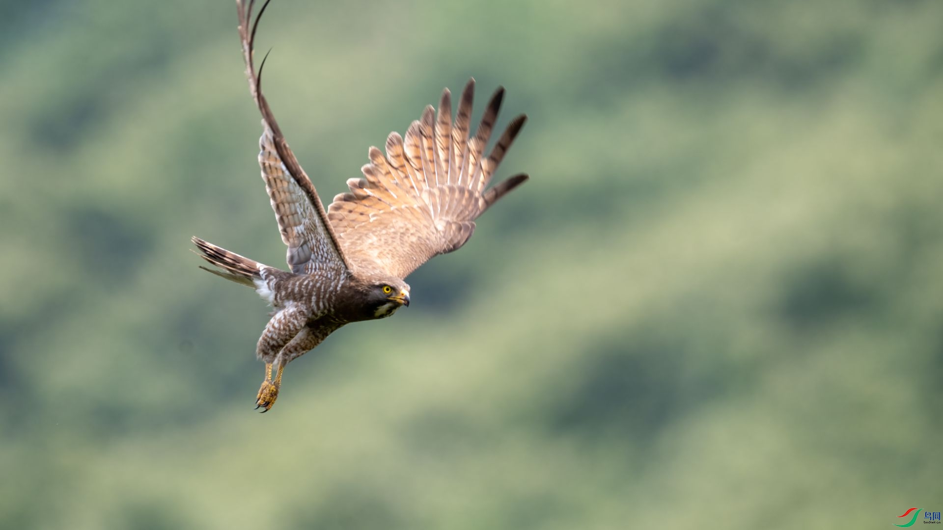 _DSC2693 ����.jpg