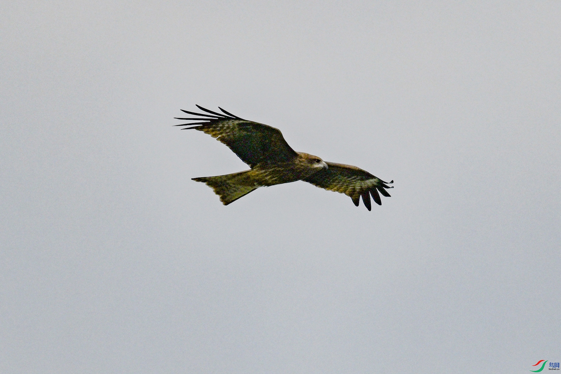 DSC_5853.JPG
