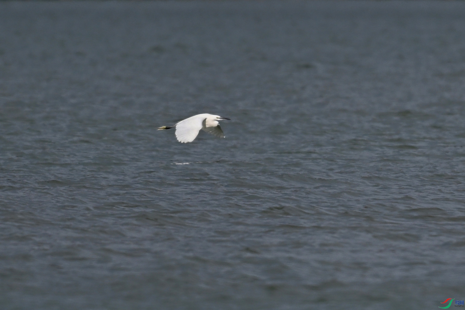 DSC_5825.JPG
