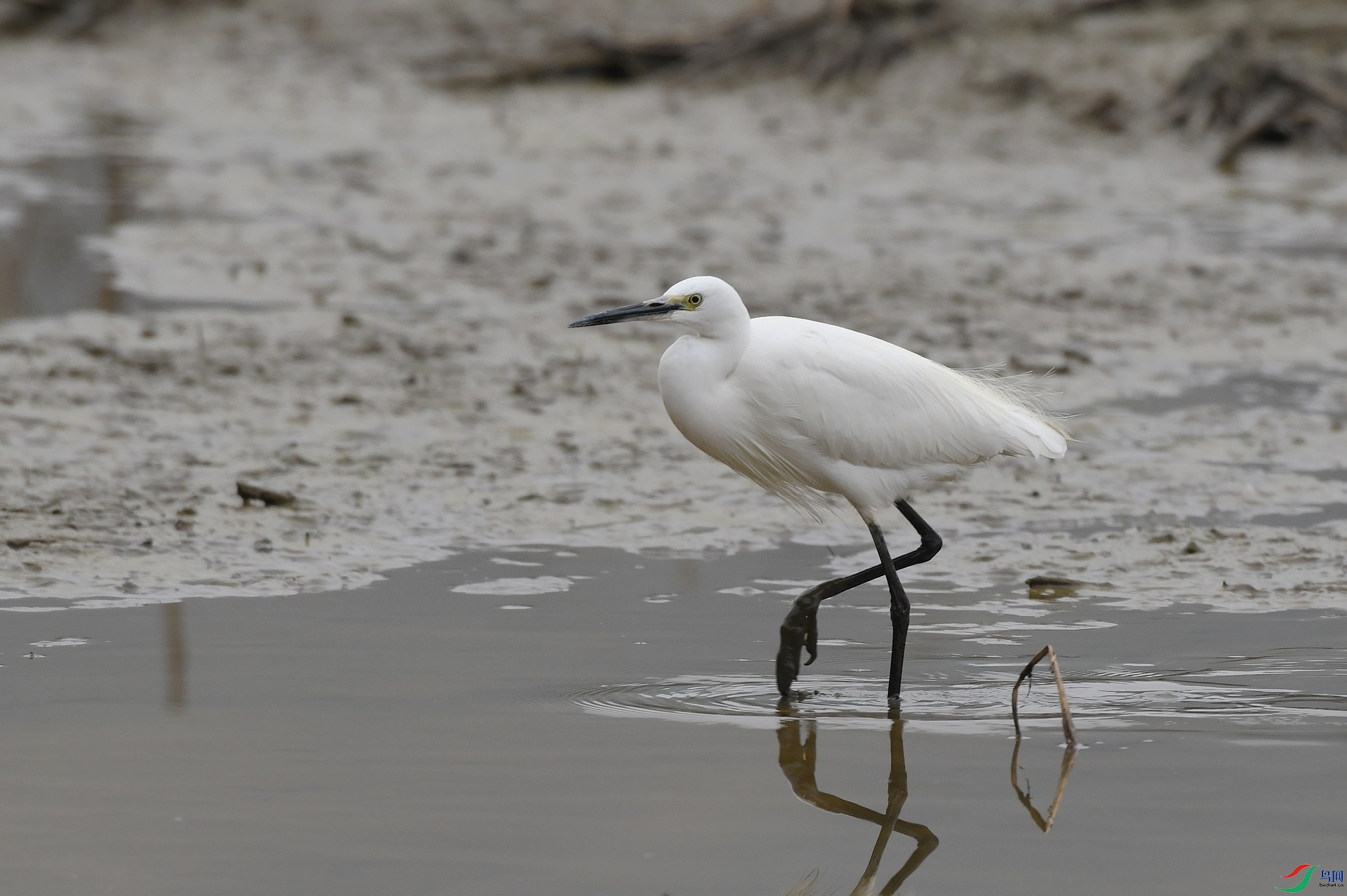 DSC_5653.jpg