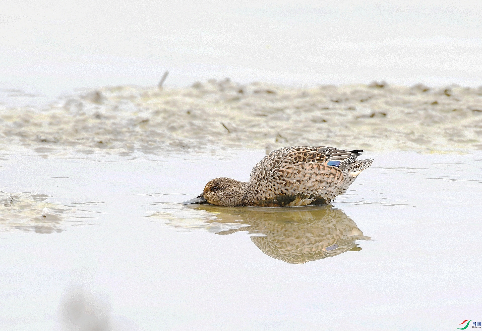 DSC_5893.jpg