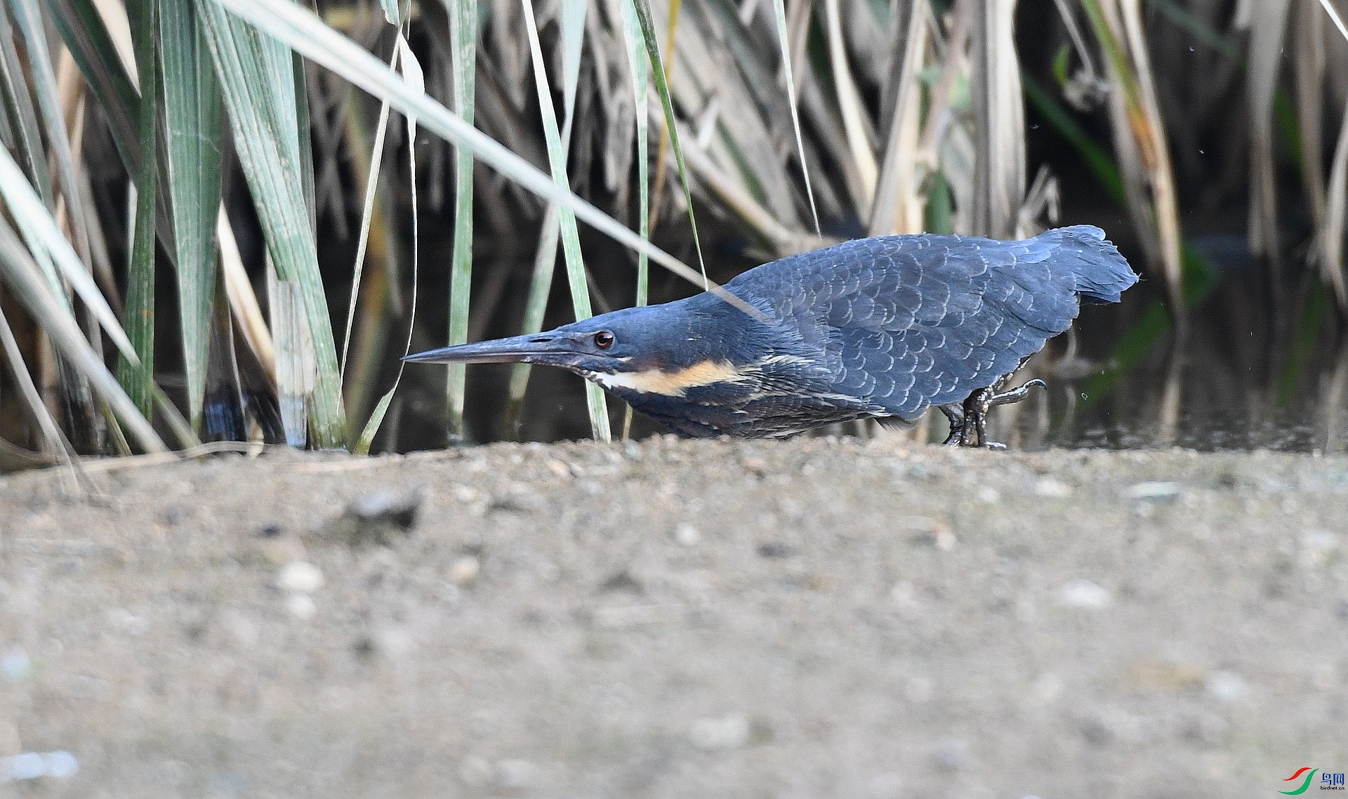 DSC_9134.jpg