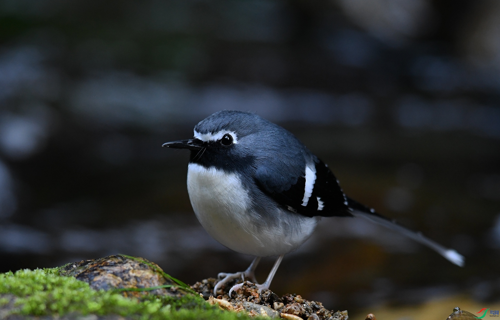 DSC_6664.jpg