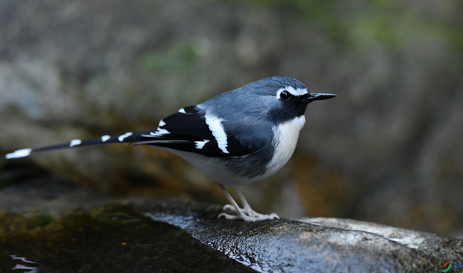 DSC_5512.jpg