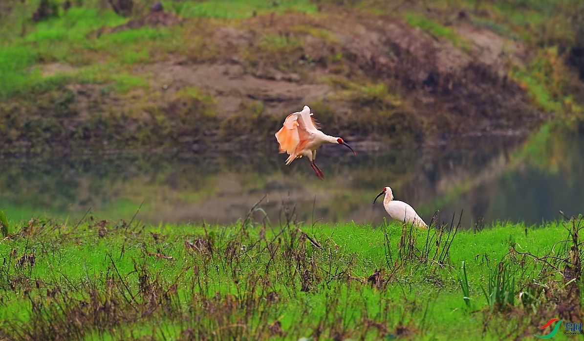 {066AB5AA-19F8-4D6D-A425-FFC86680E0F1} ����.jpg