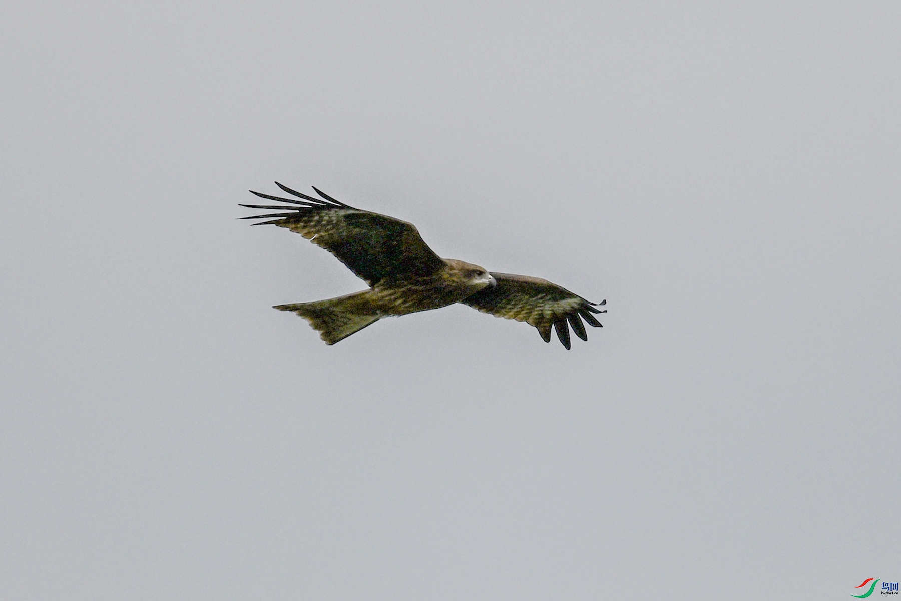 DSC_5852.JPG