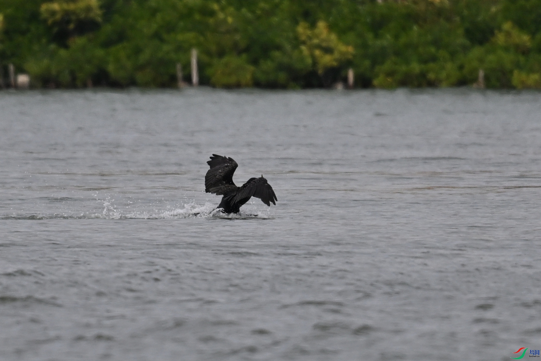 DSC_5874.JPG