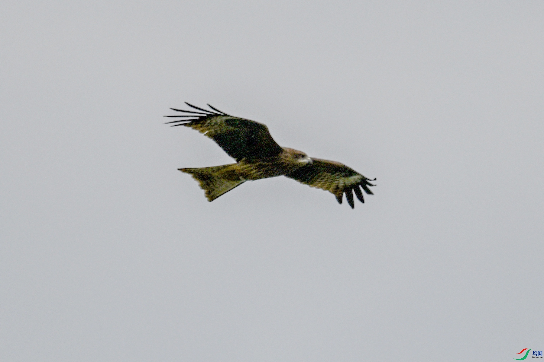 DSC_5854.JPG