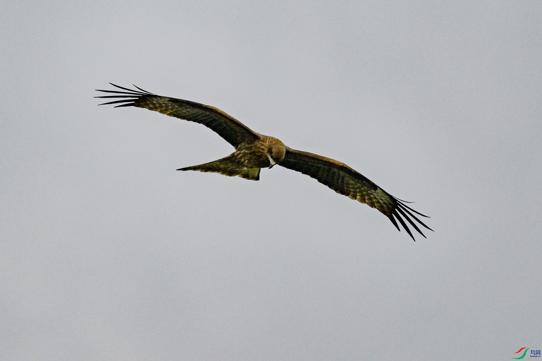 DSC_5857.JPG