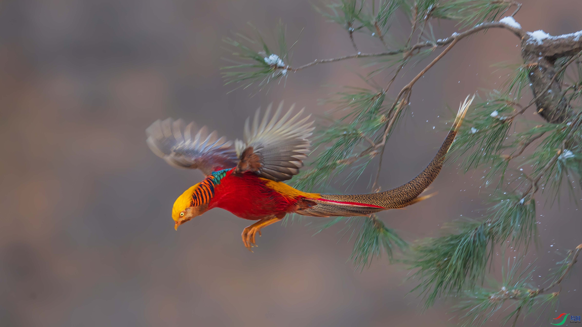 DSC_3128-1.jpg