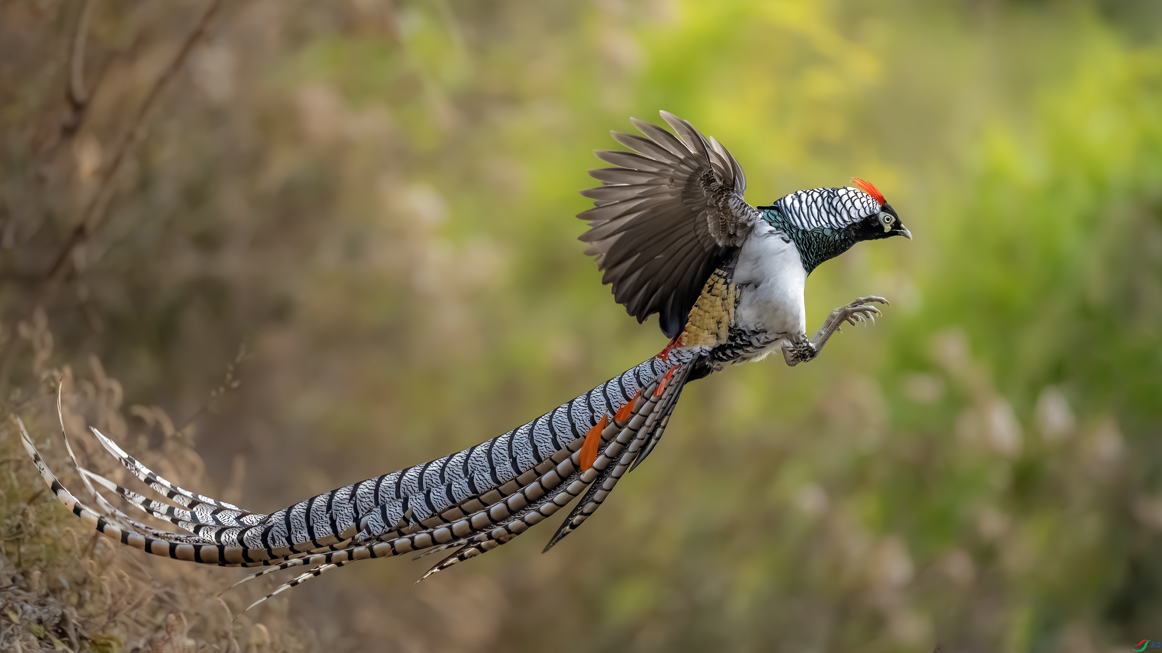 DSC05386 ���� 2.jpg