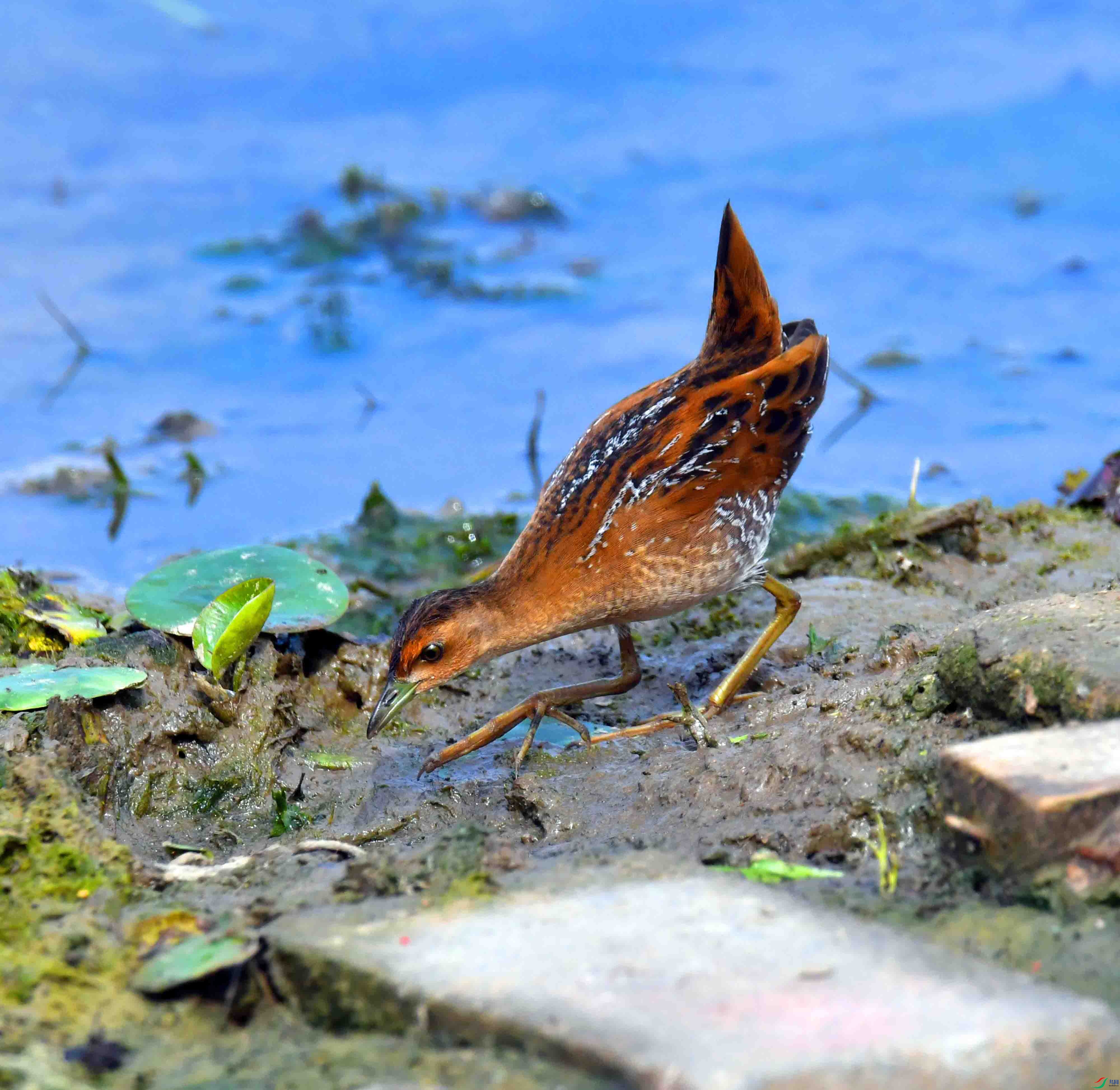 DSC_8254.JPG