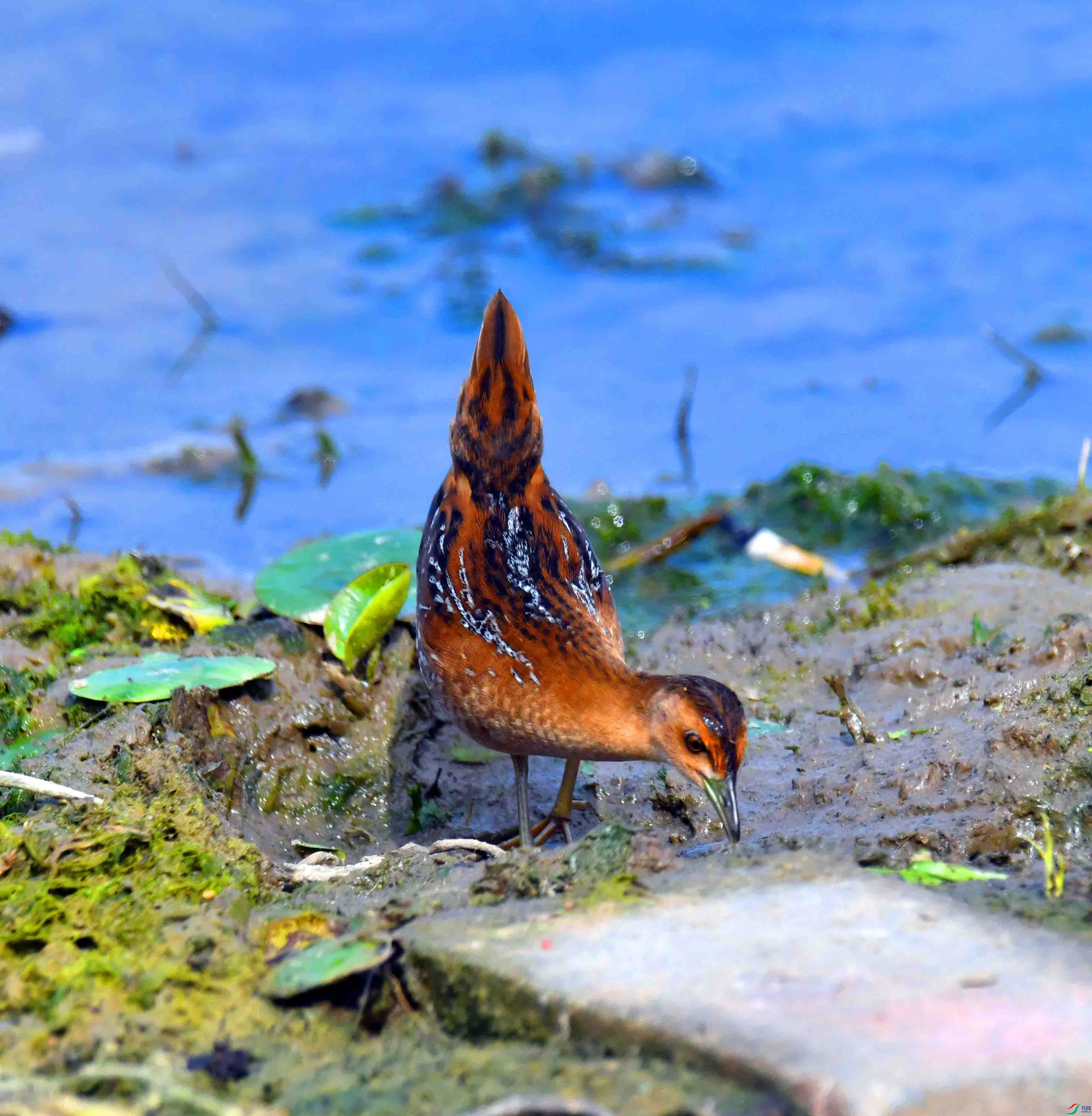 DSC_8280.JPG