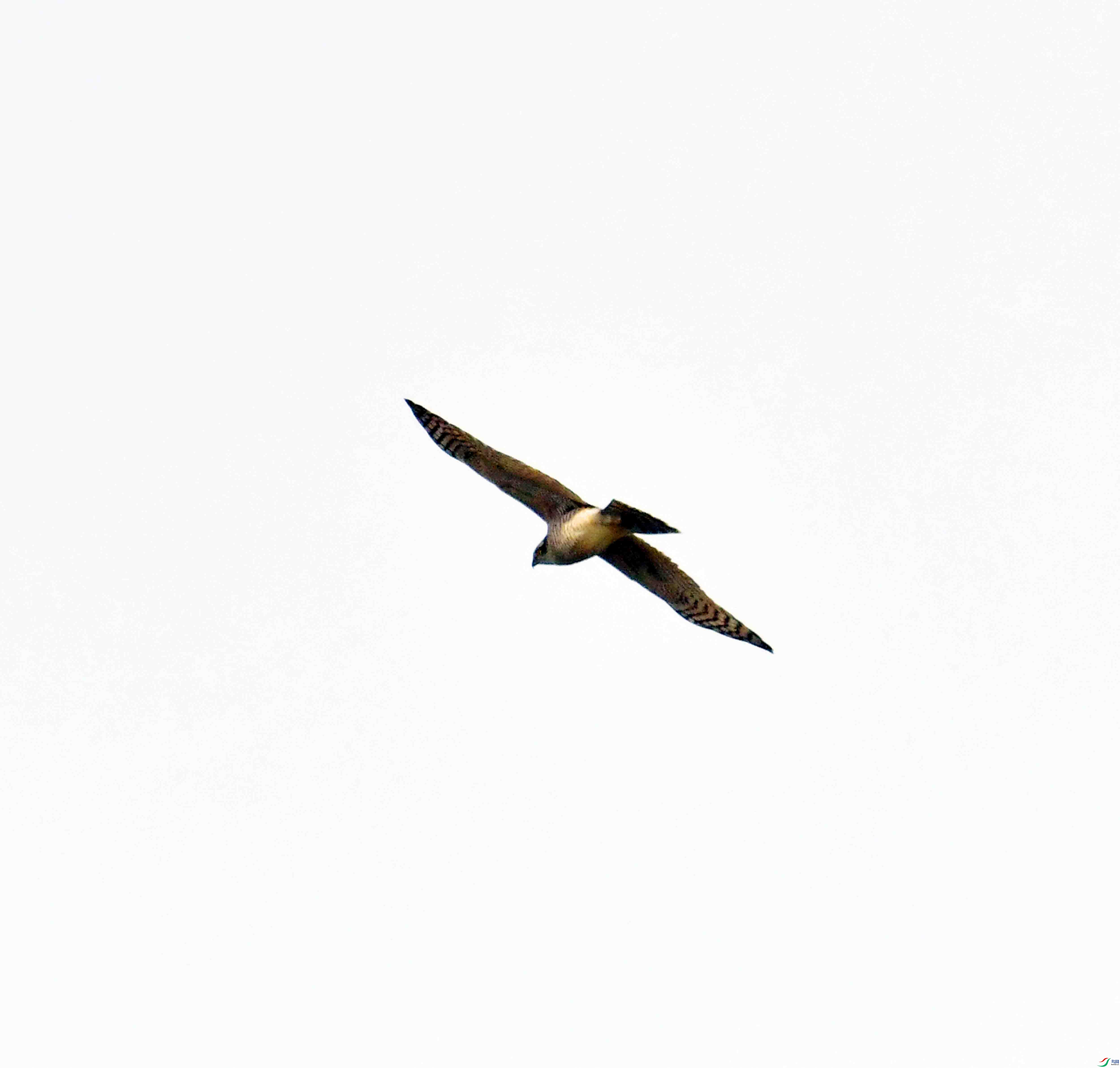 DSC_0850.JPG