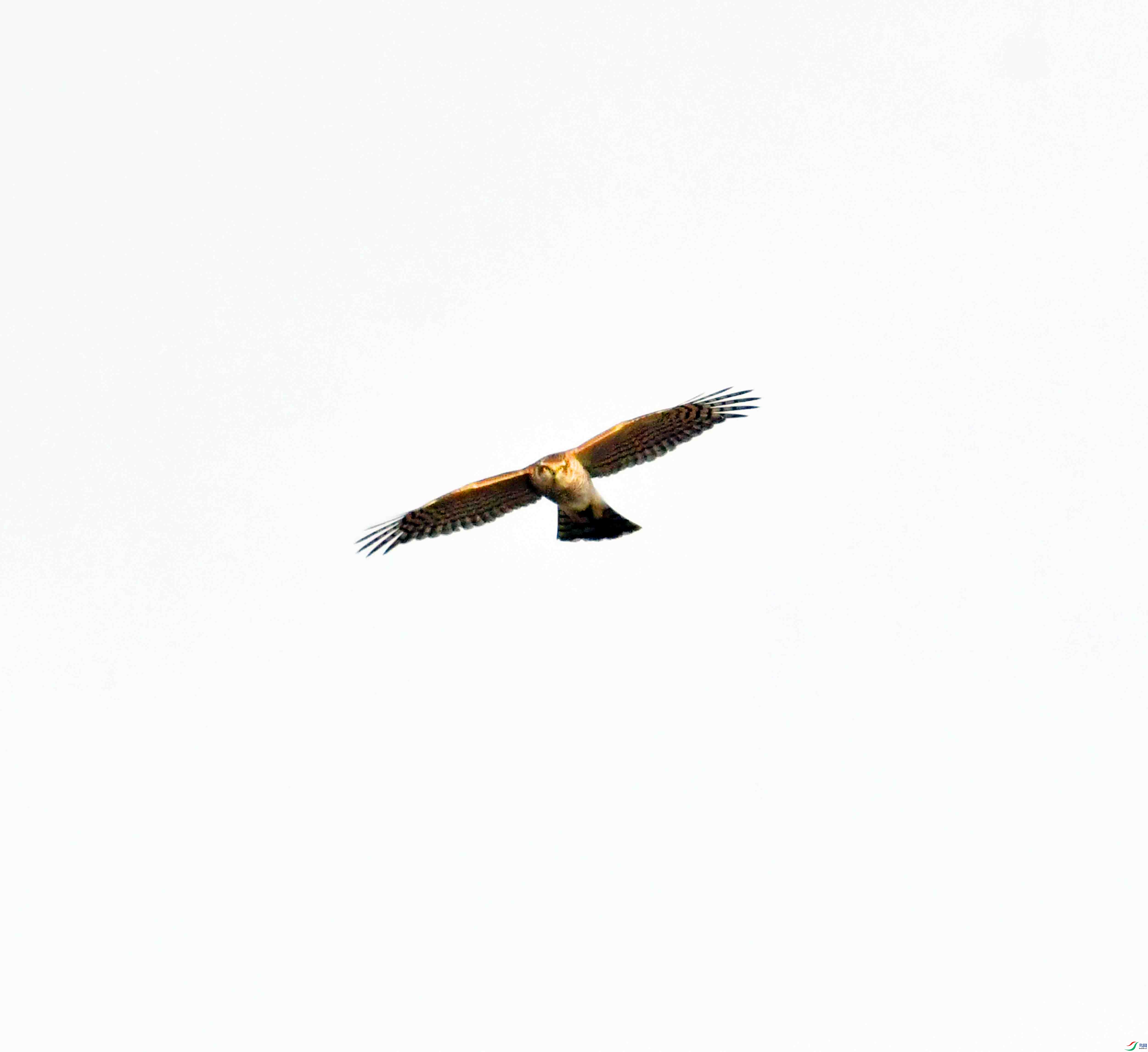 DSC_0859.JPG