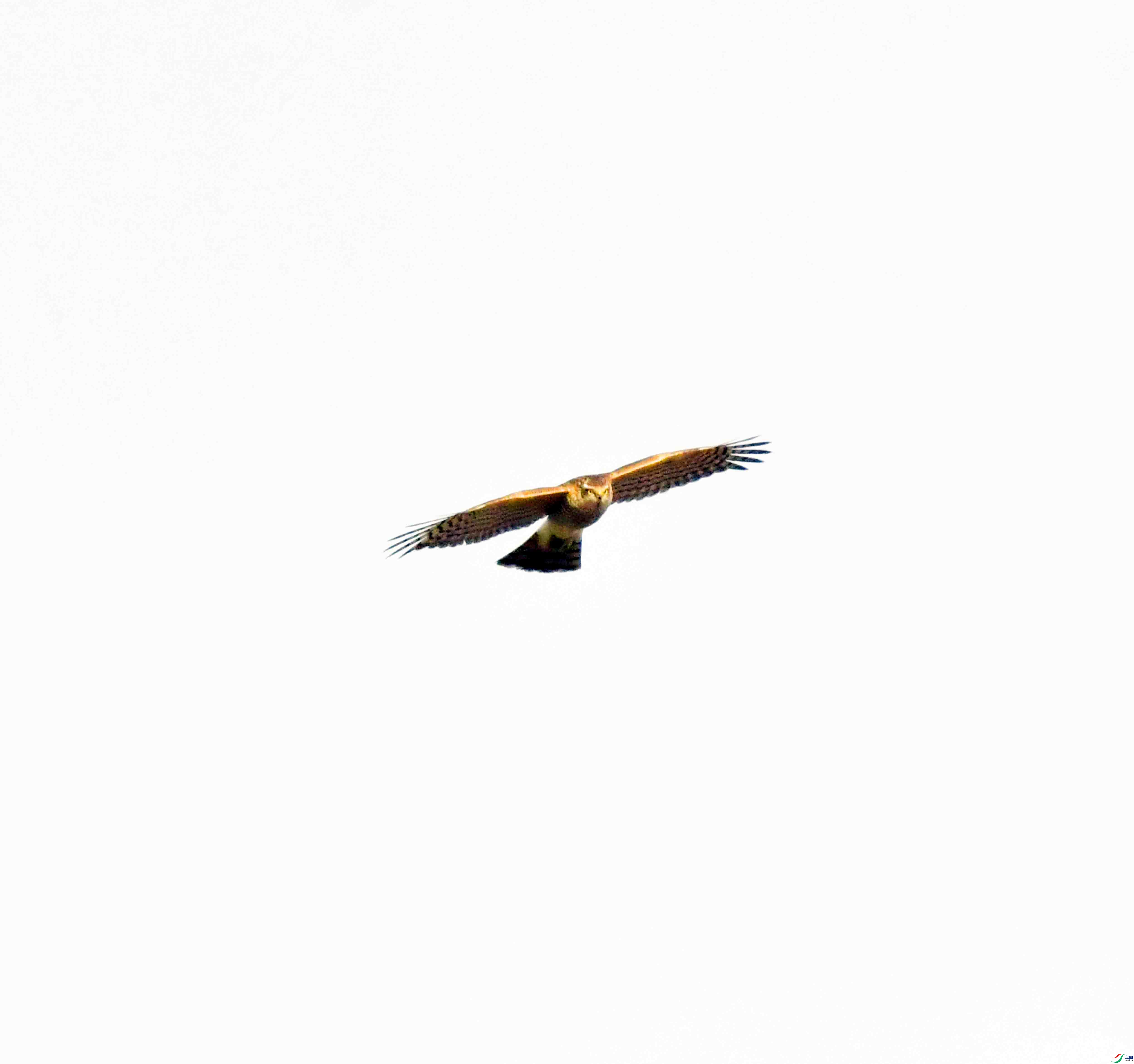DSC_0856.JPG