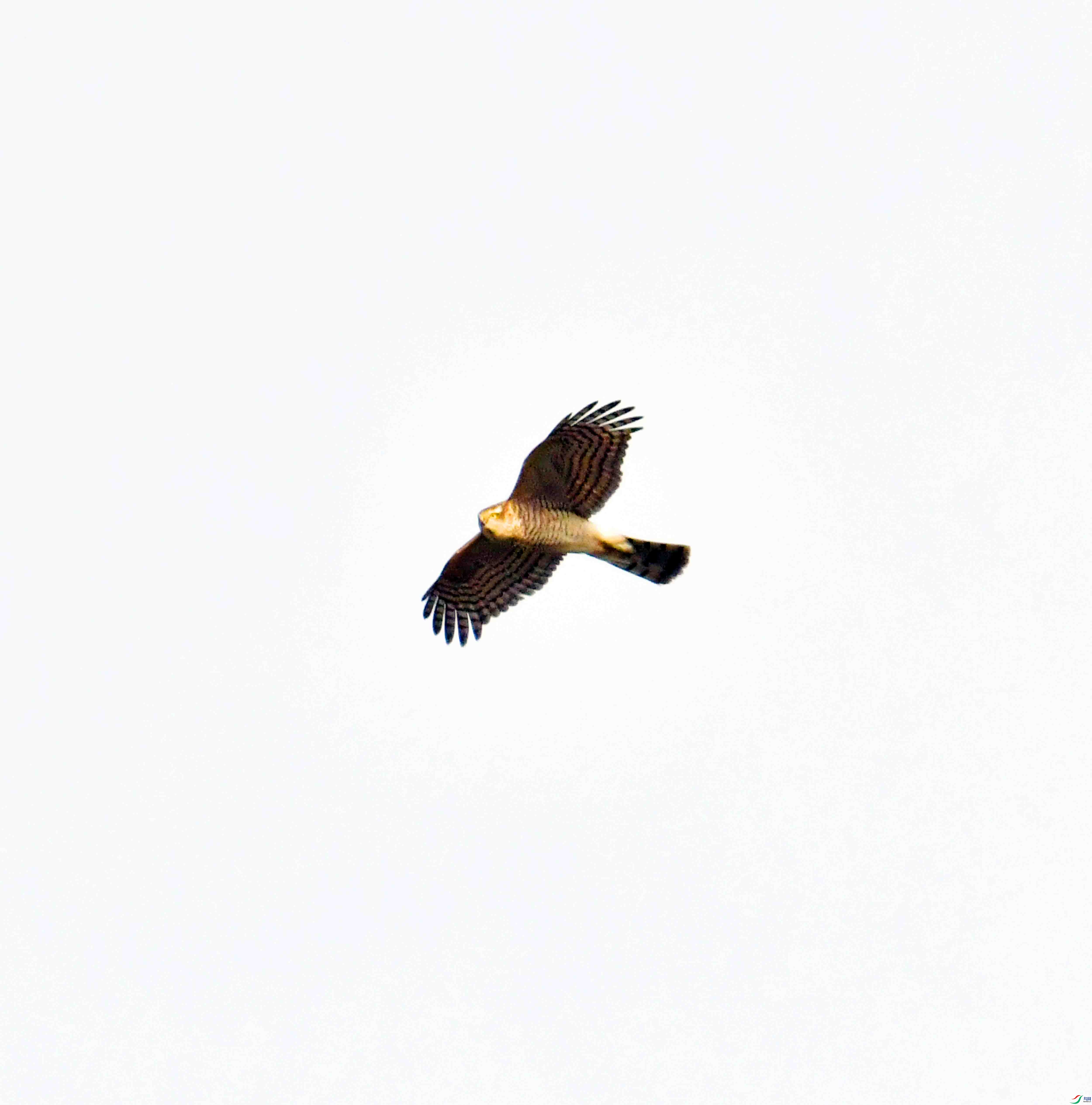 DSC_0878.JPG