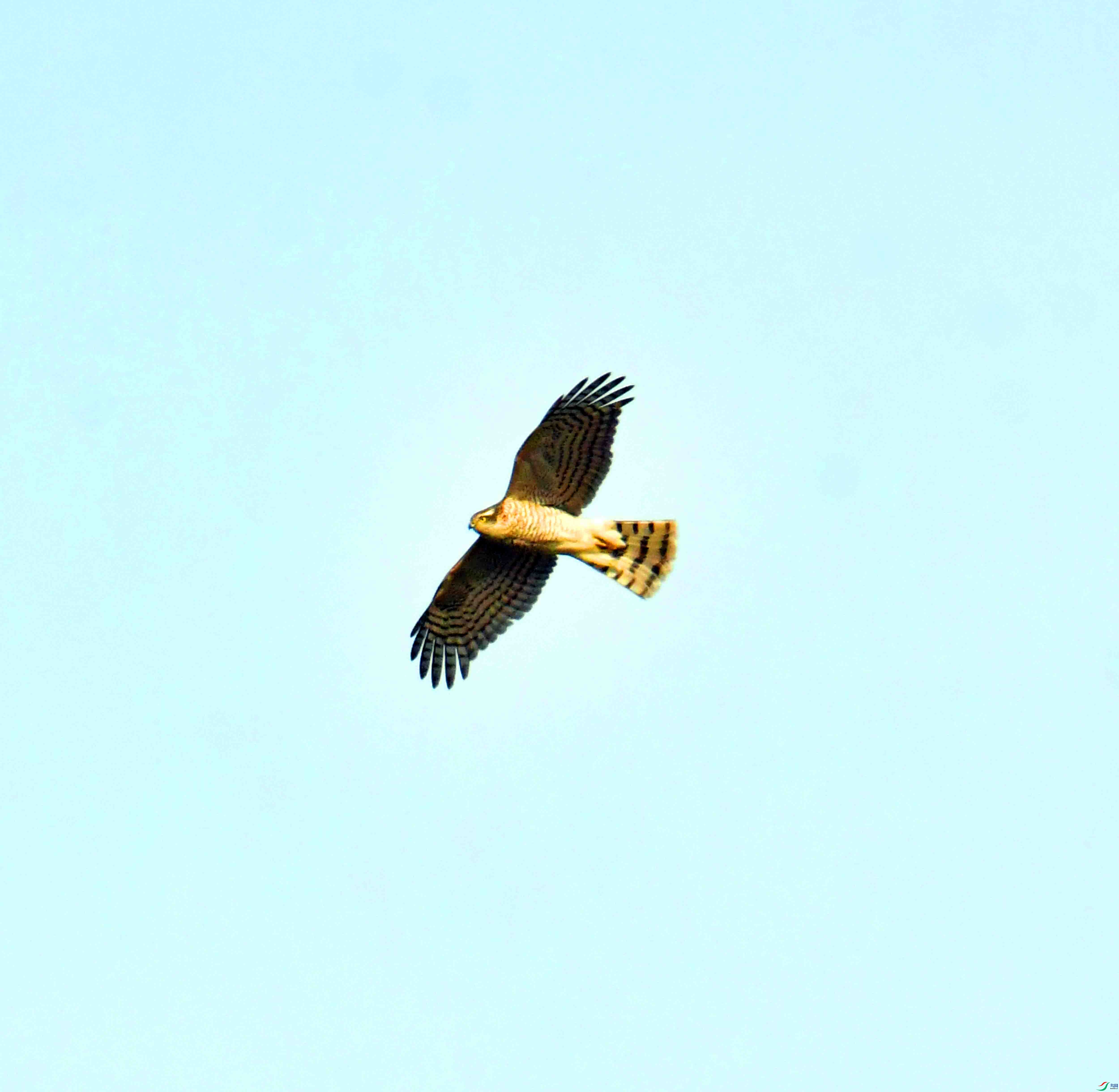 DSC_0863.JPG