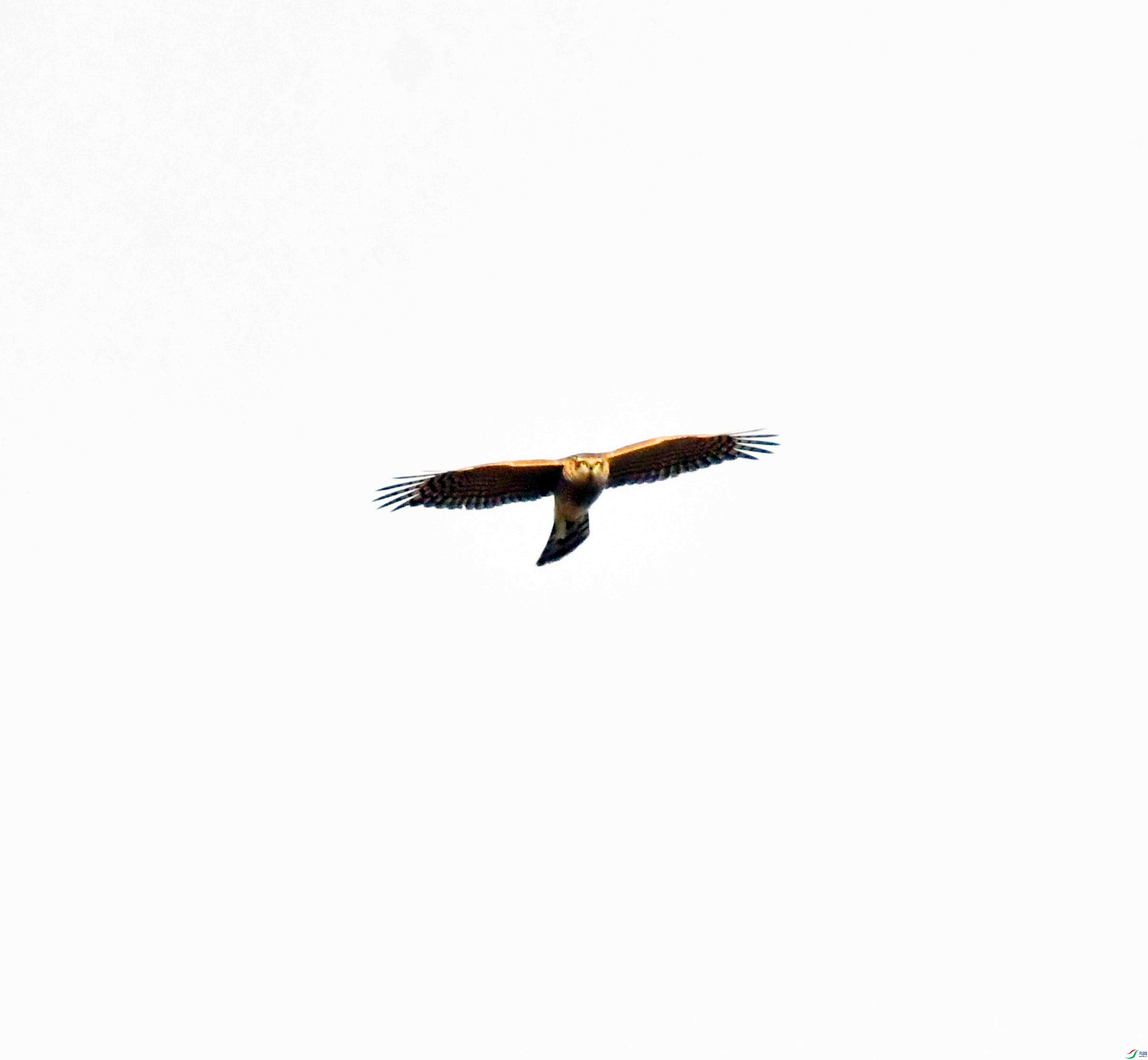 DSC_0887.JPG