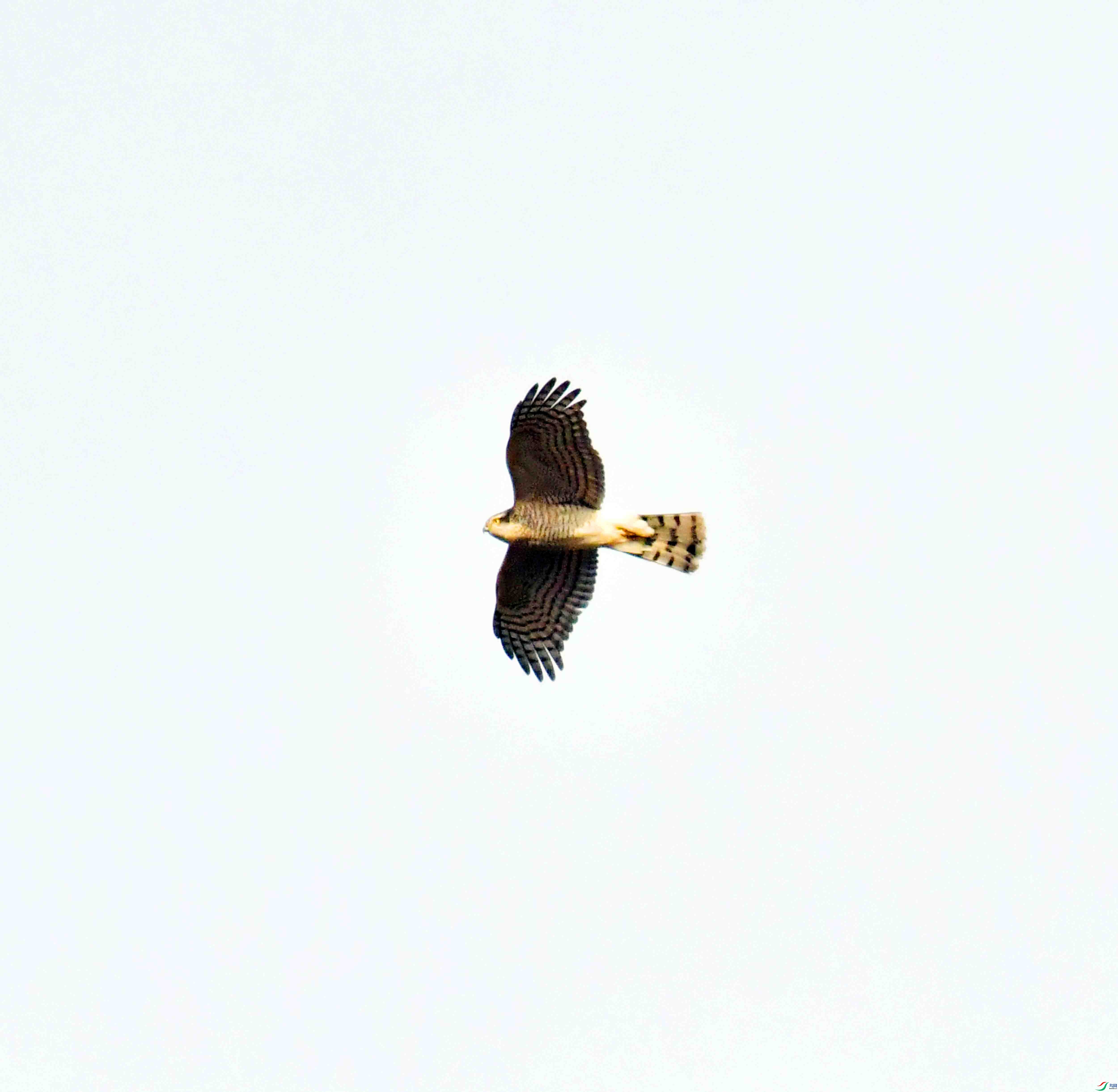 DSC_0882.JPG