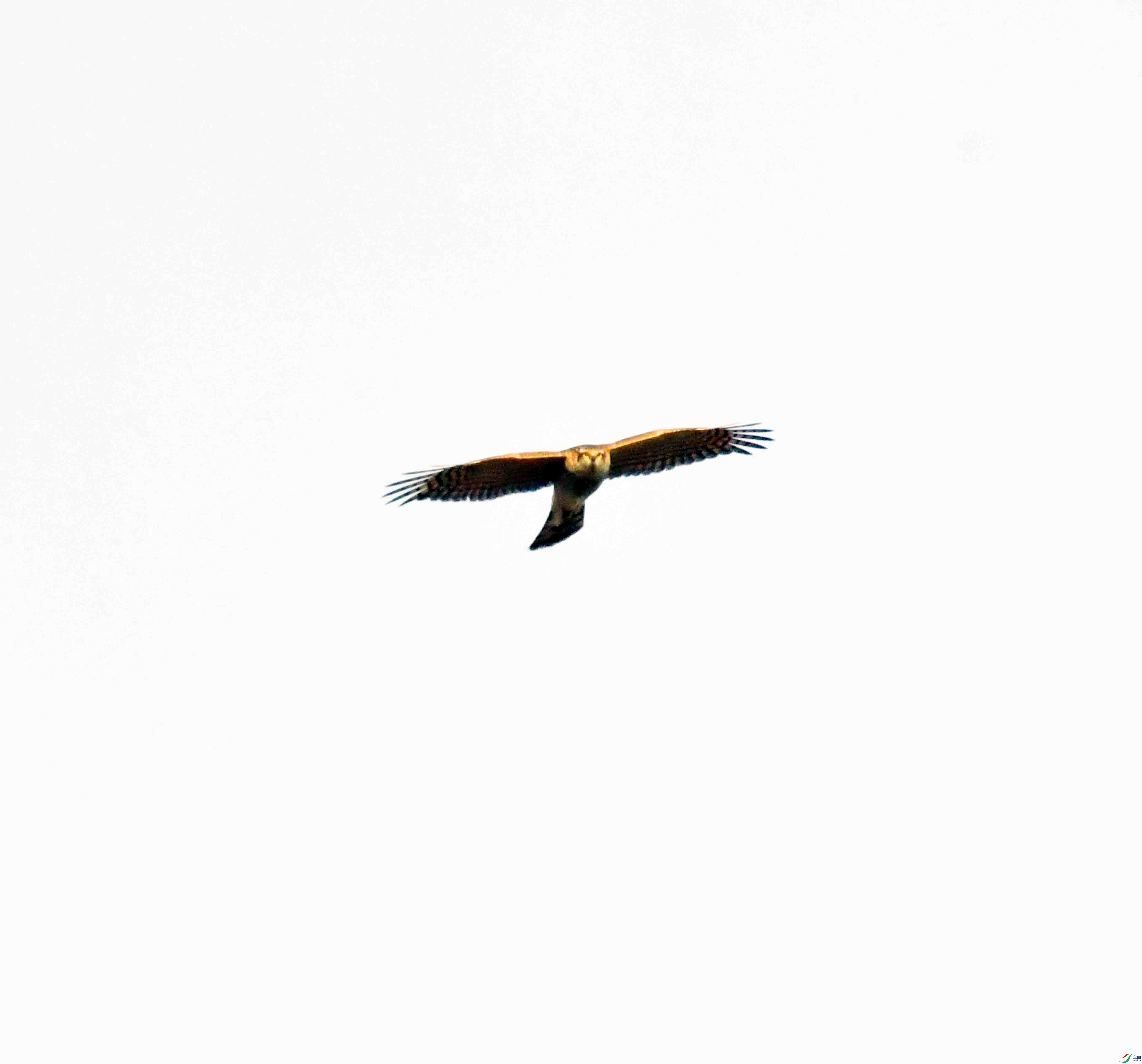 DSC_0886.JPG