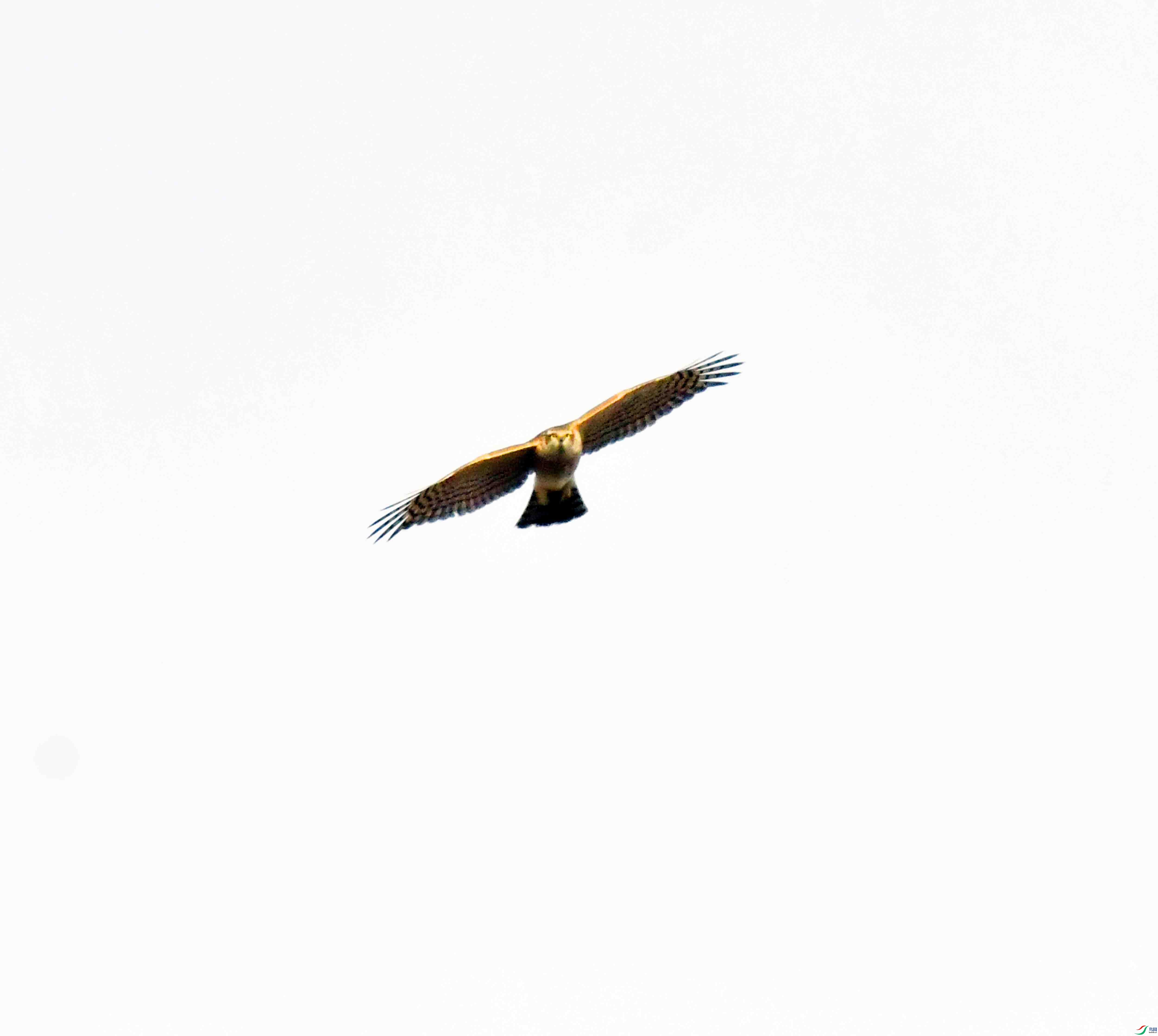 DSC_0888.JPG