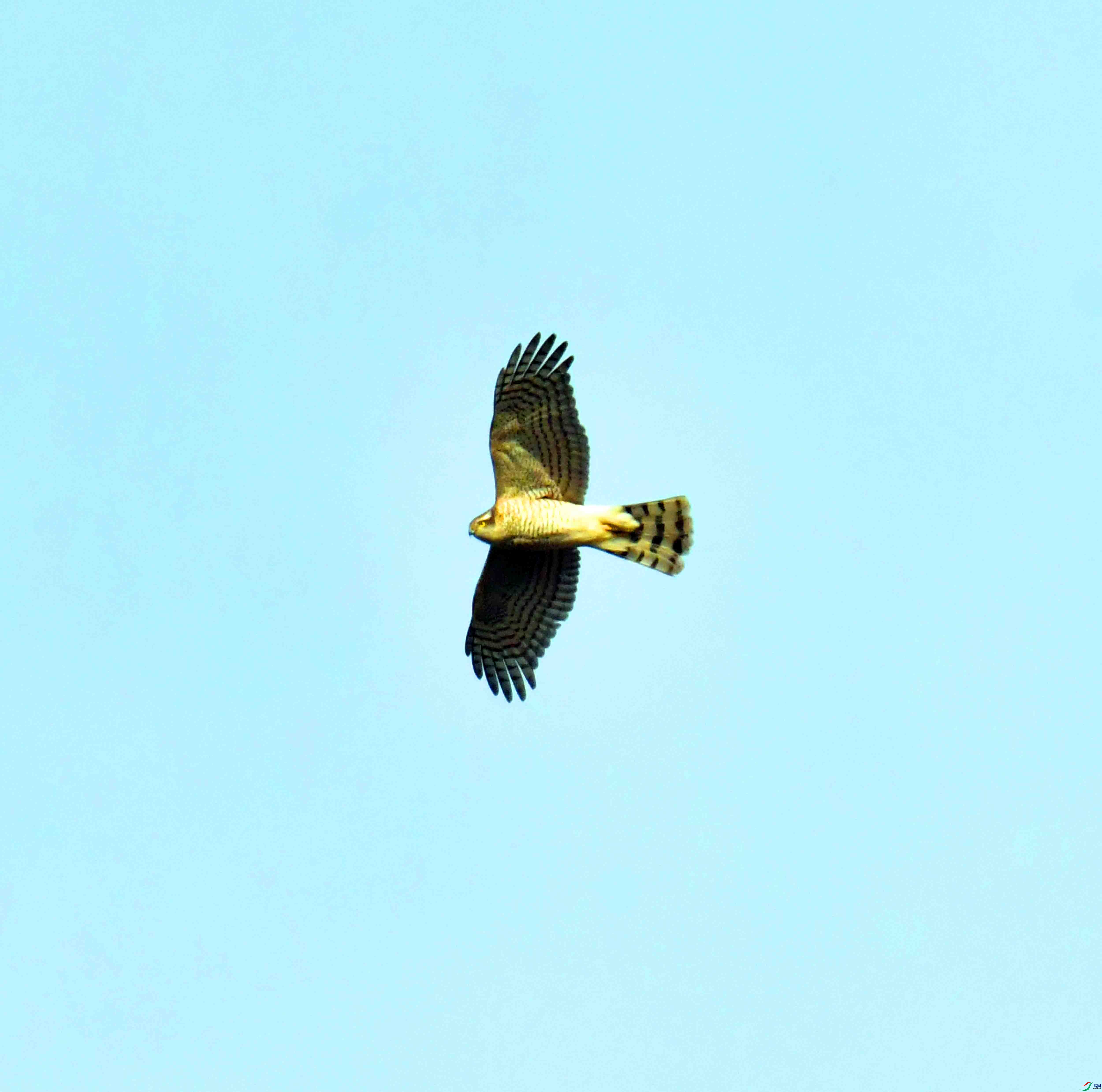 DSC_0890.JPG