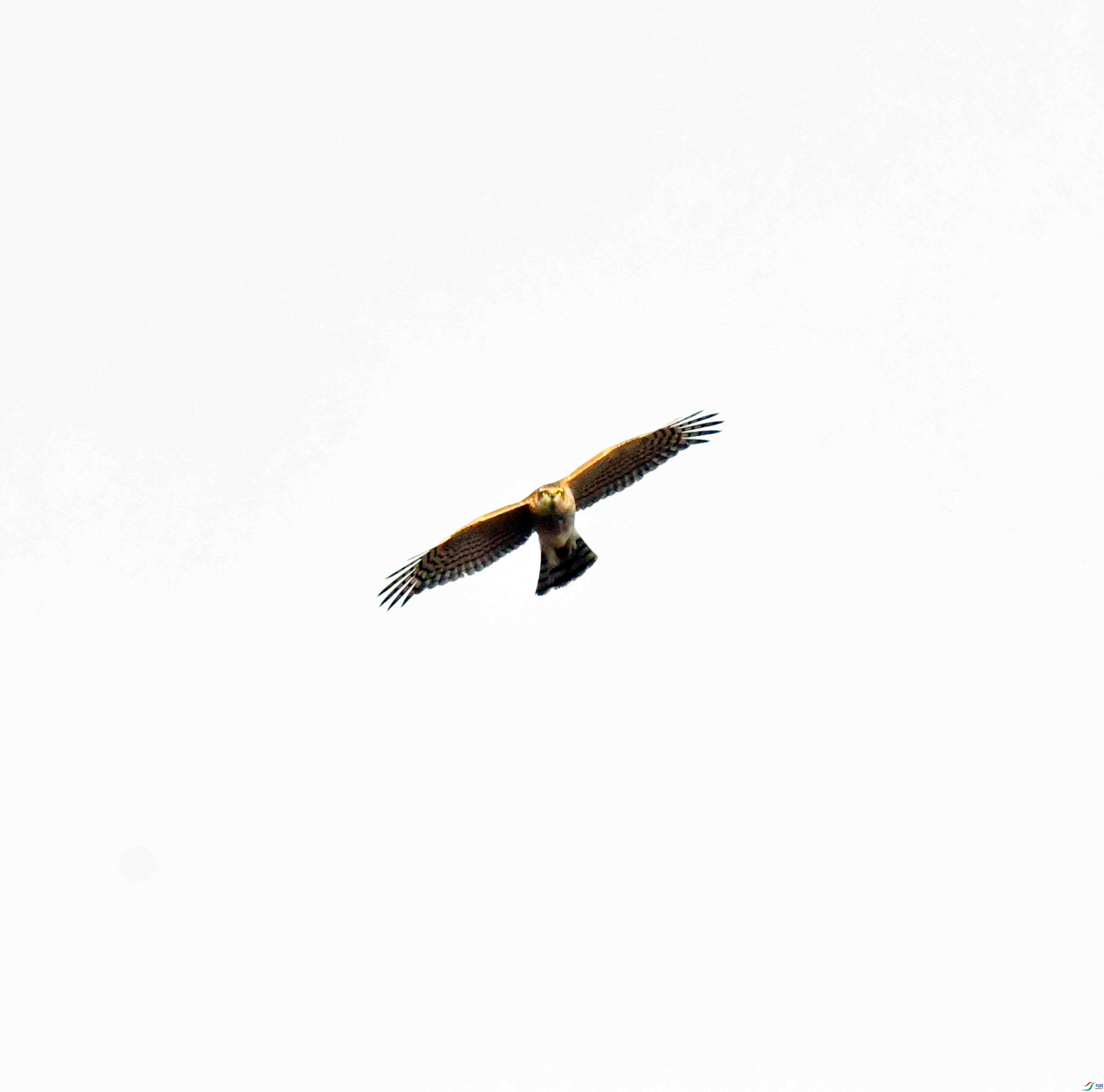 DSC_0889.JPG