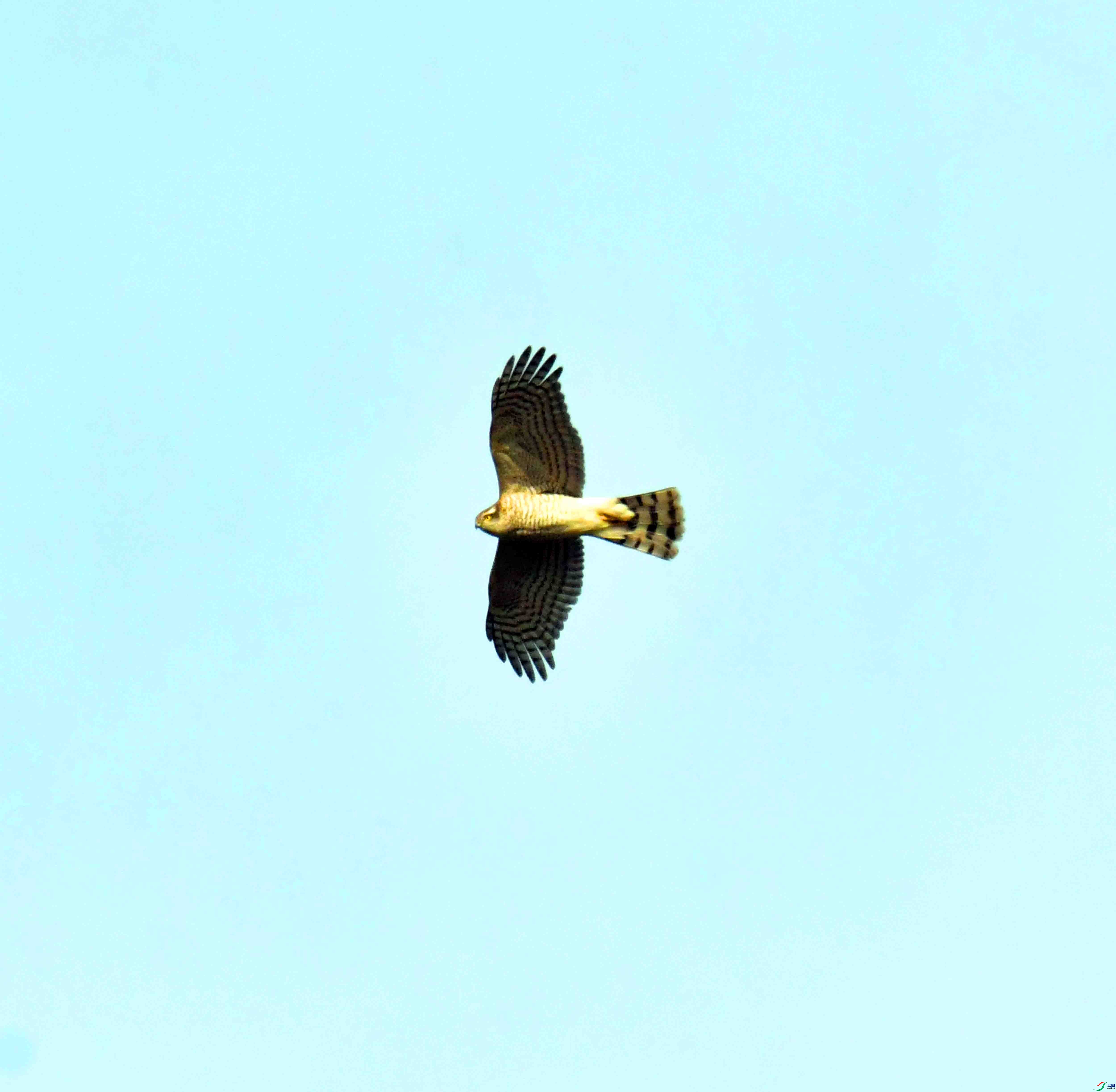 DSC_0891.JPG