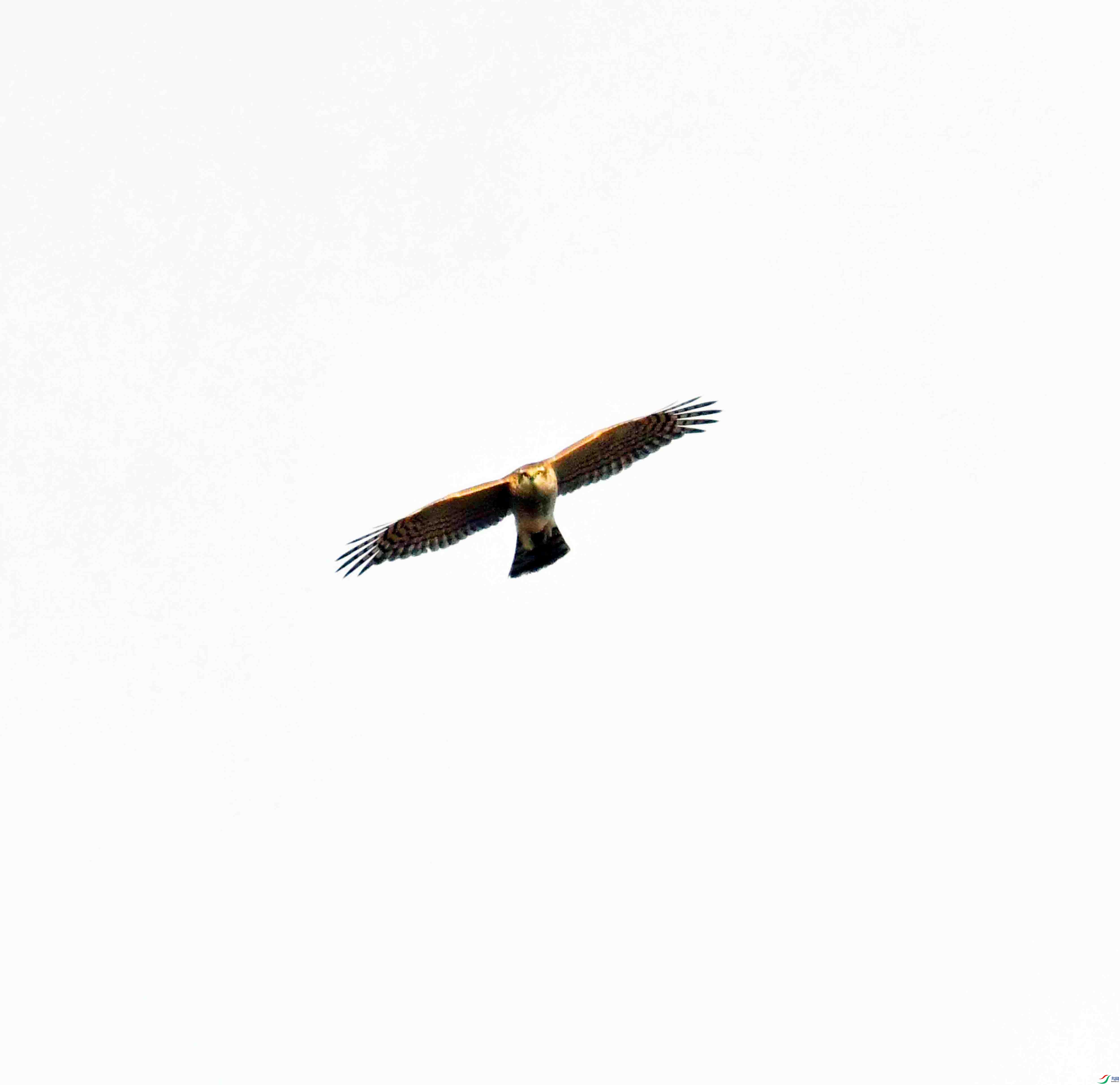 DSC_0892.JPG