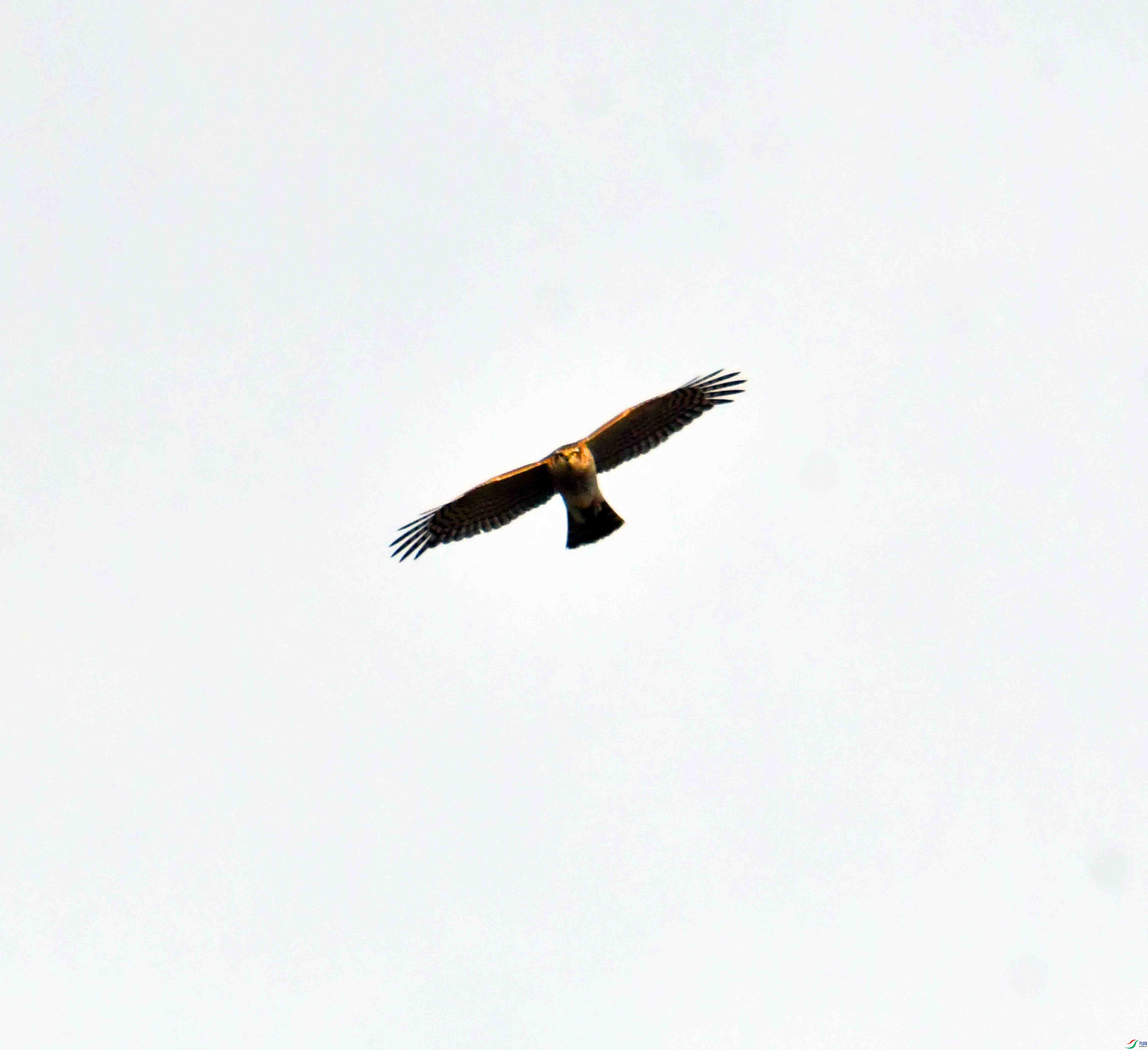 DSC_0894.JPG