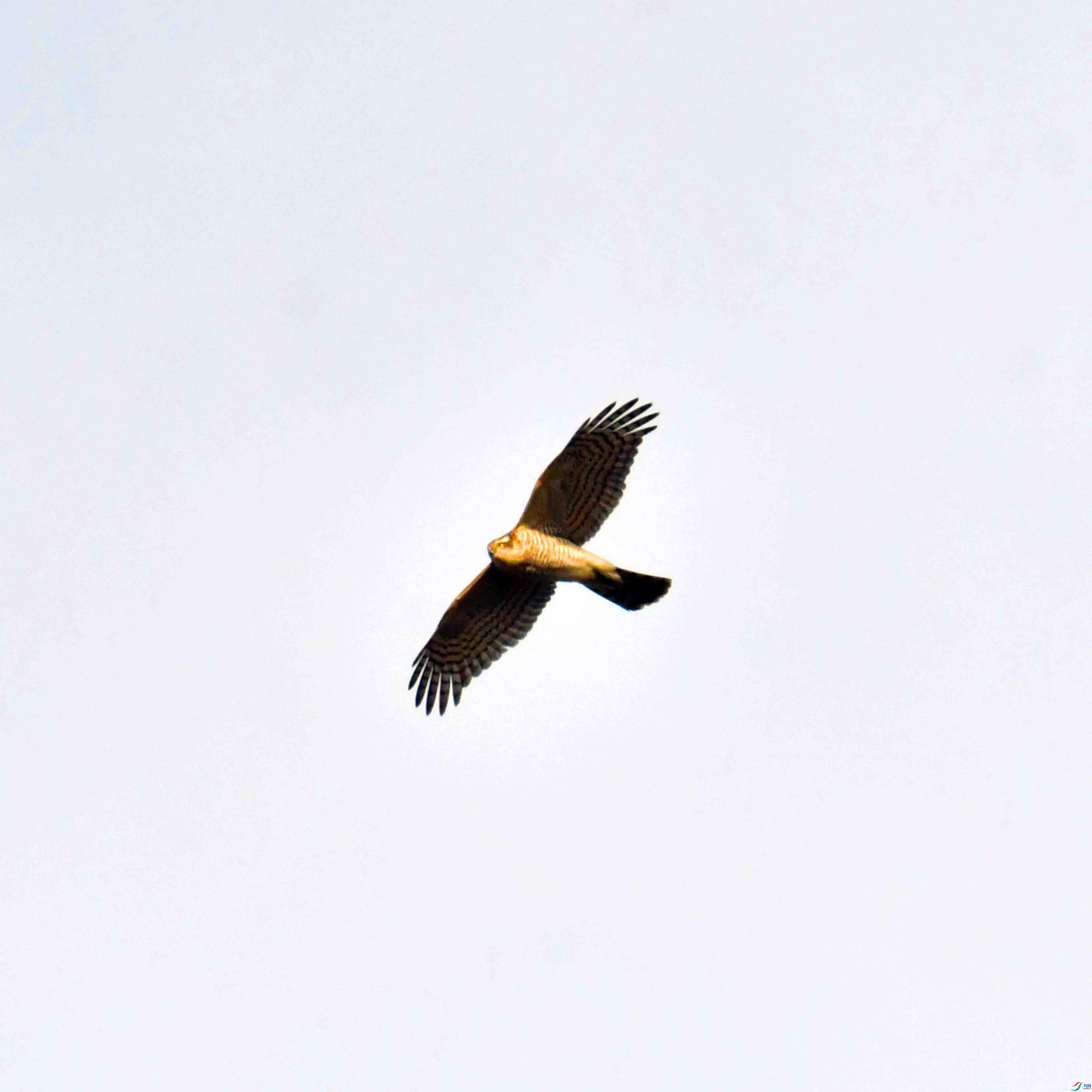 DSC_0896.JPG