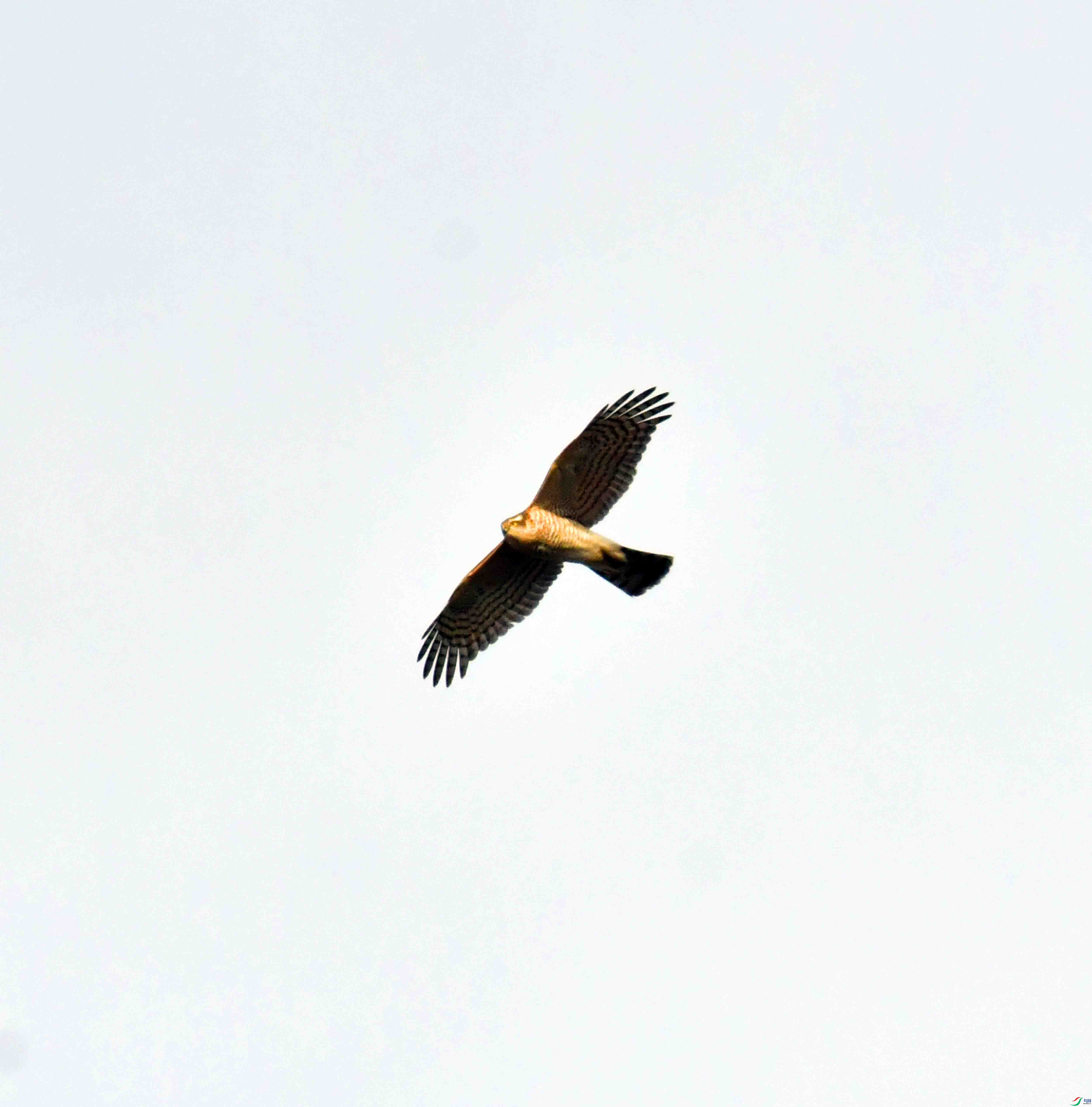 DSC_0895.JPG