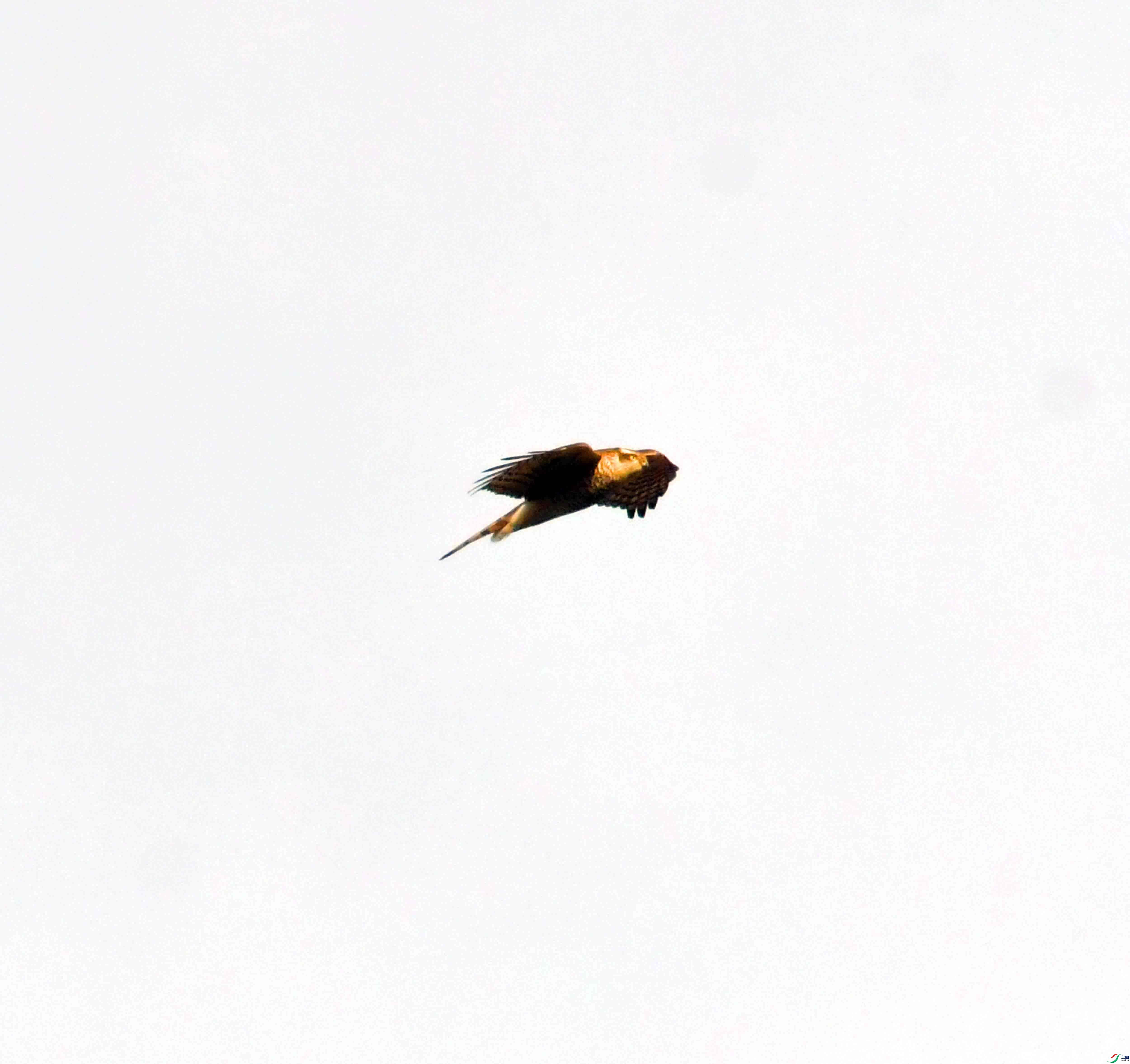 DSC_0901.JPG