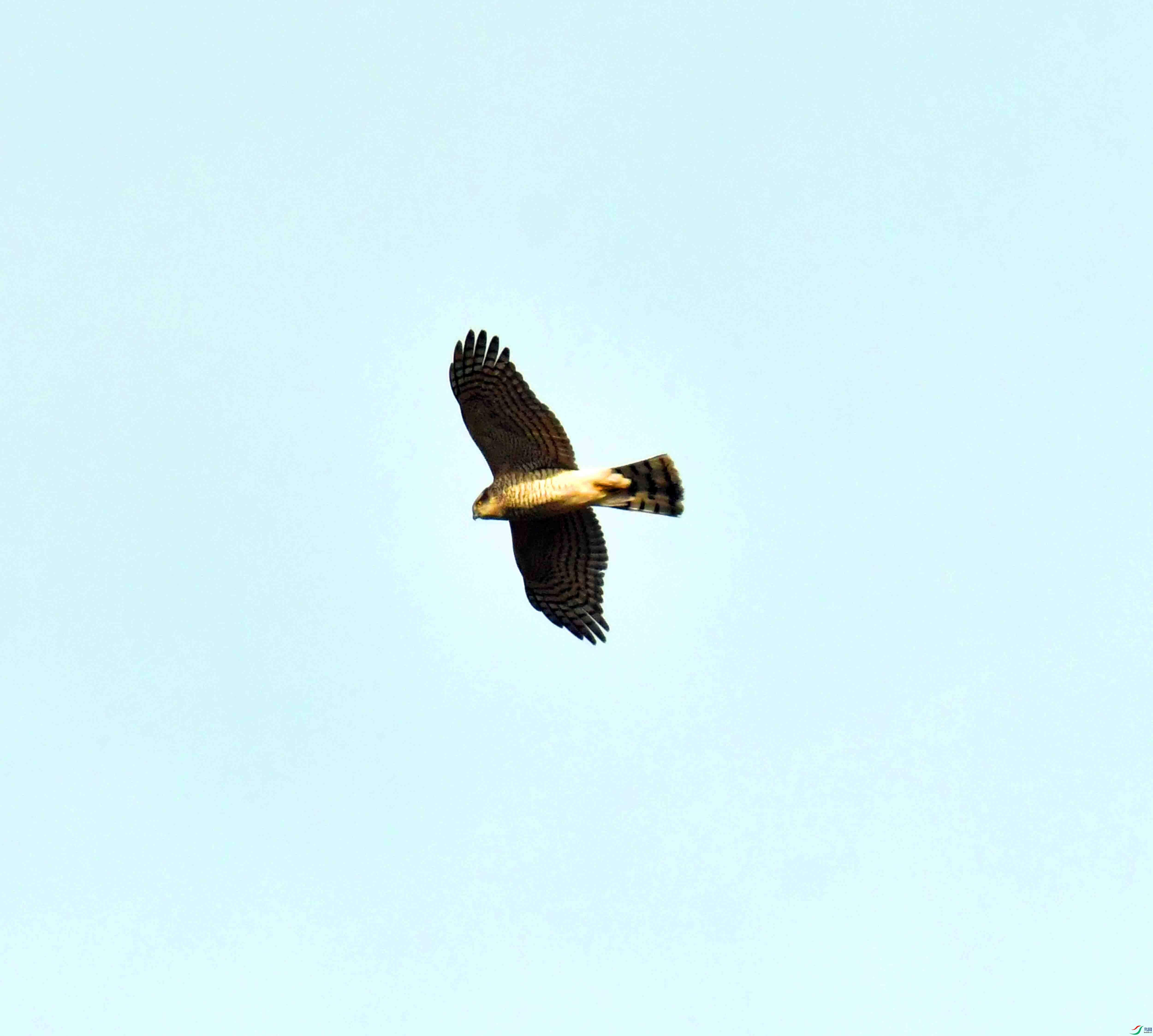 DSC_0897.JPG