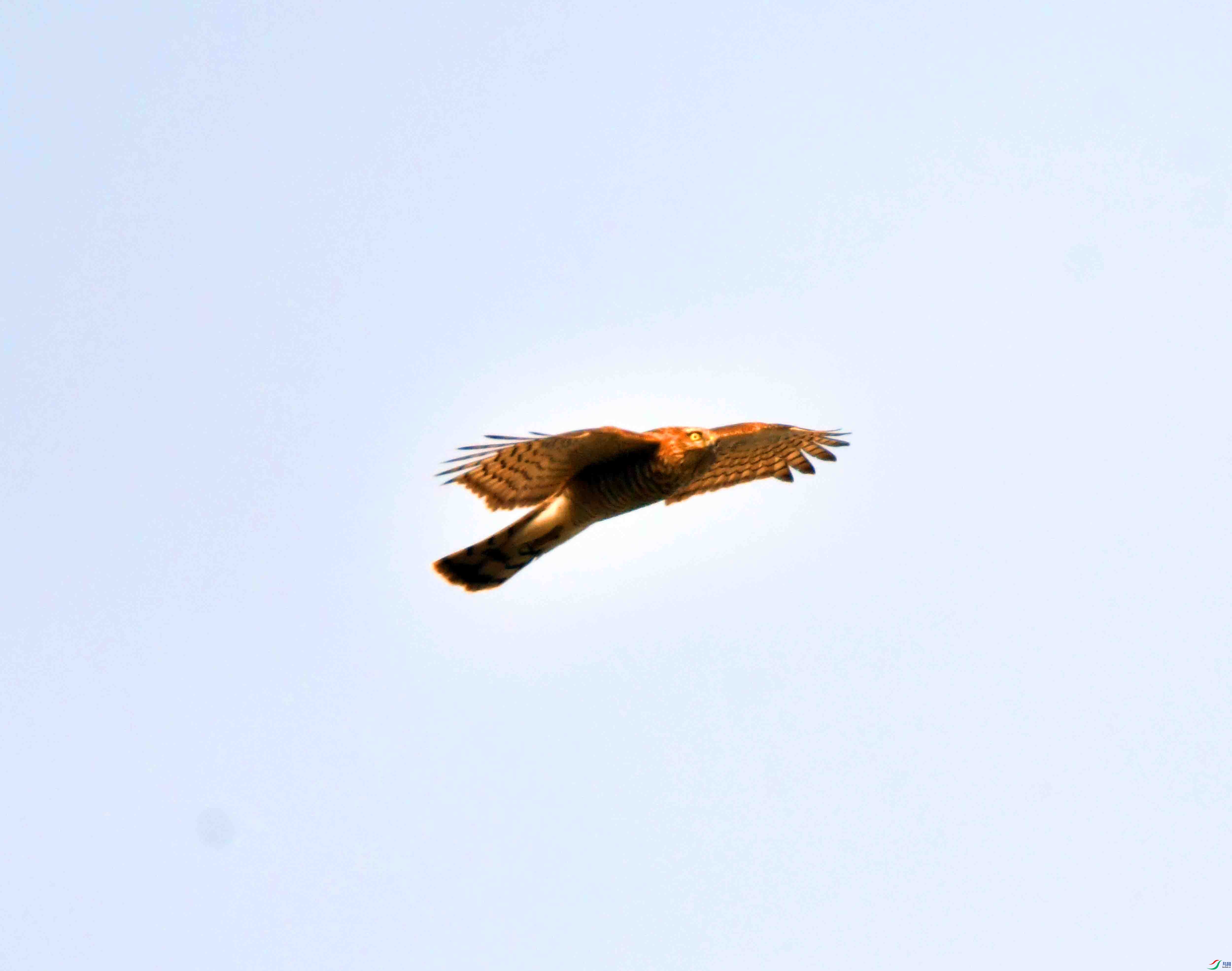 DSC_4805.JPG
