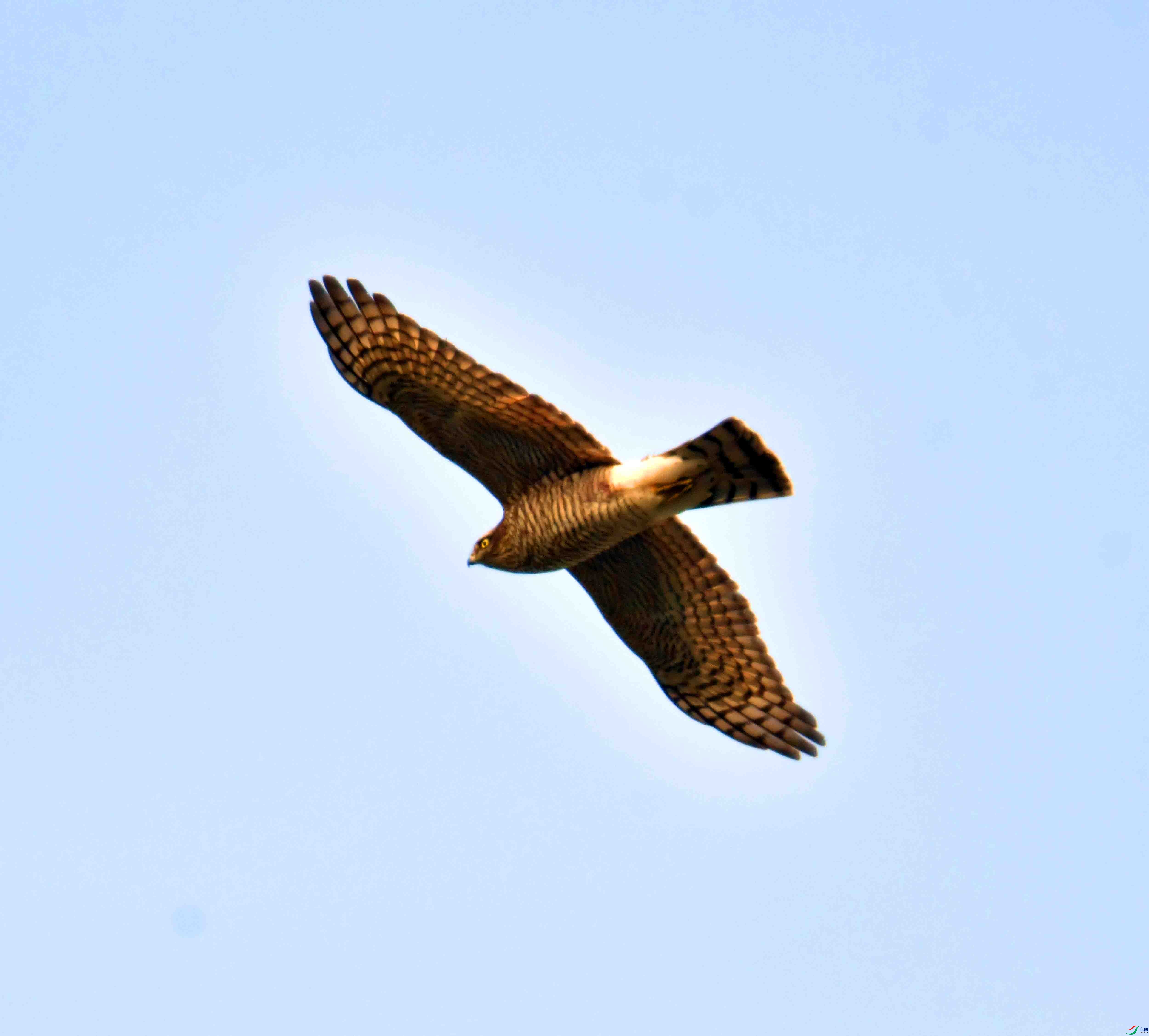 DSC_4804.JPG